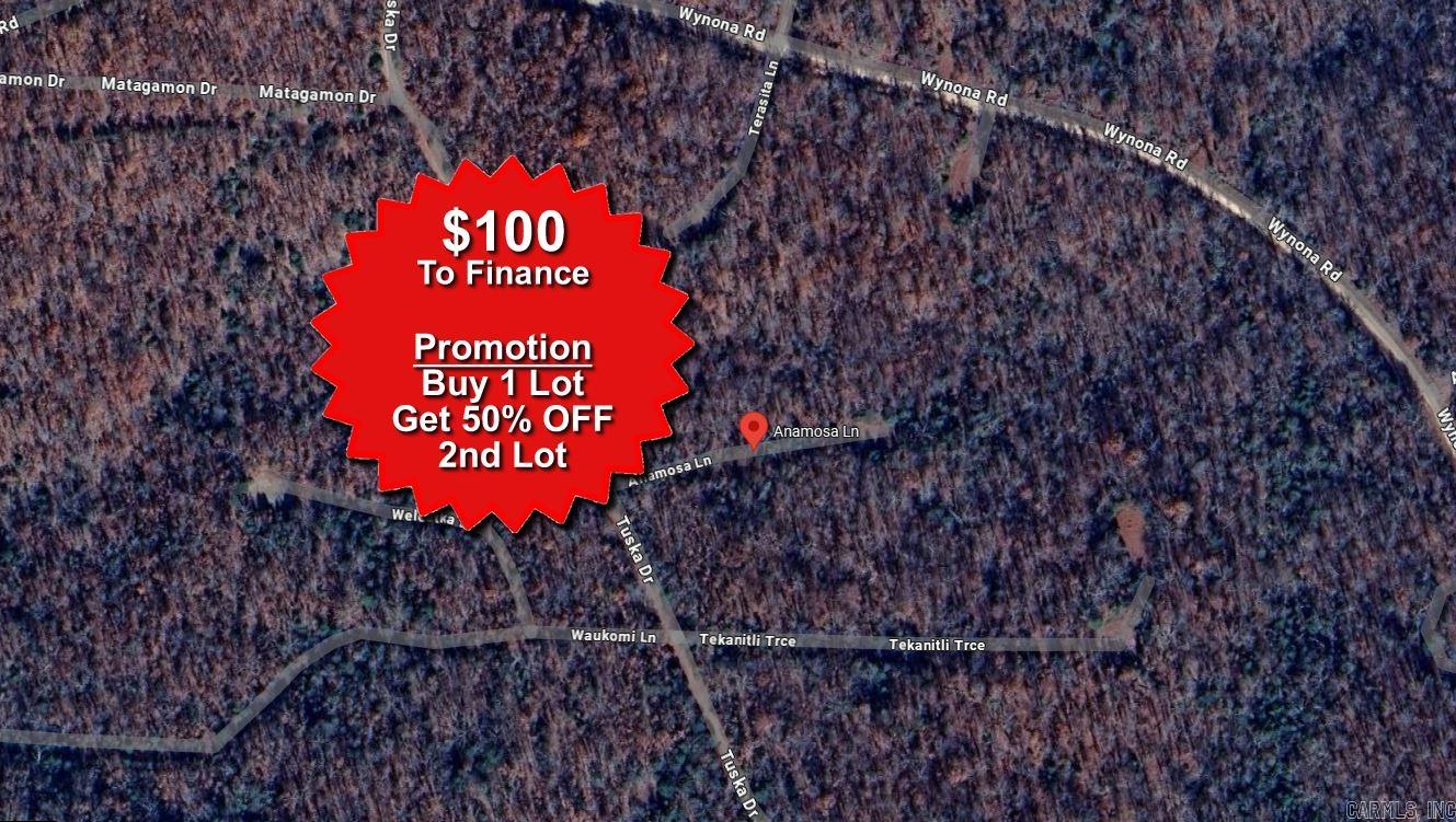Lot 1 Anamosa  Cherokee Village, AR