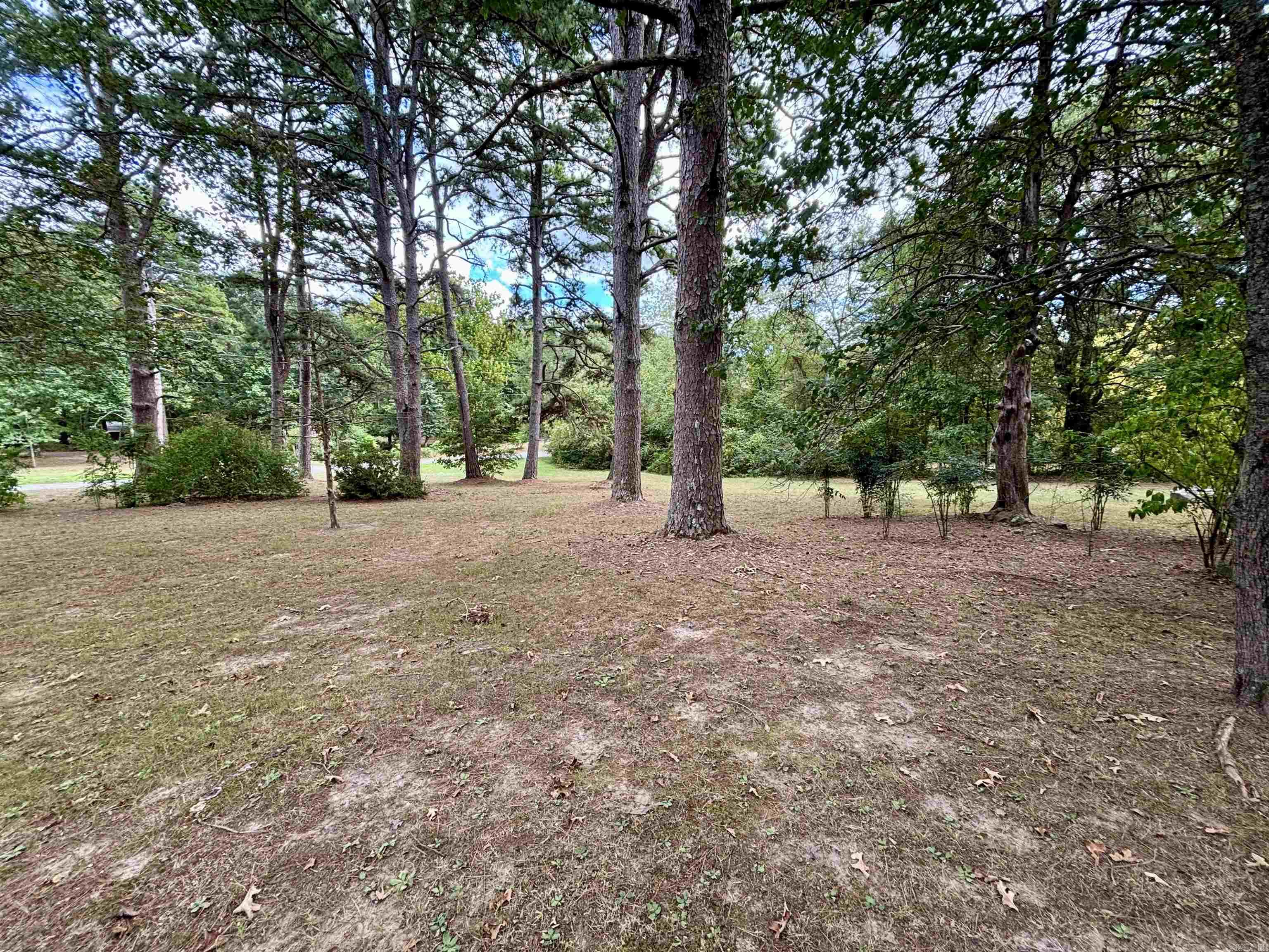 1320  Weddingford  Heber Springs, AR