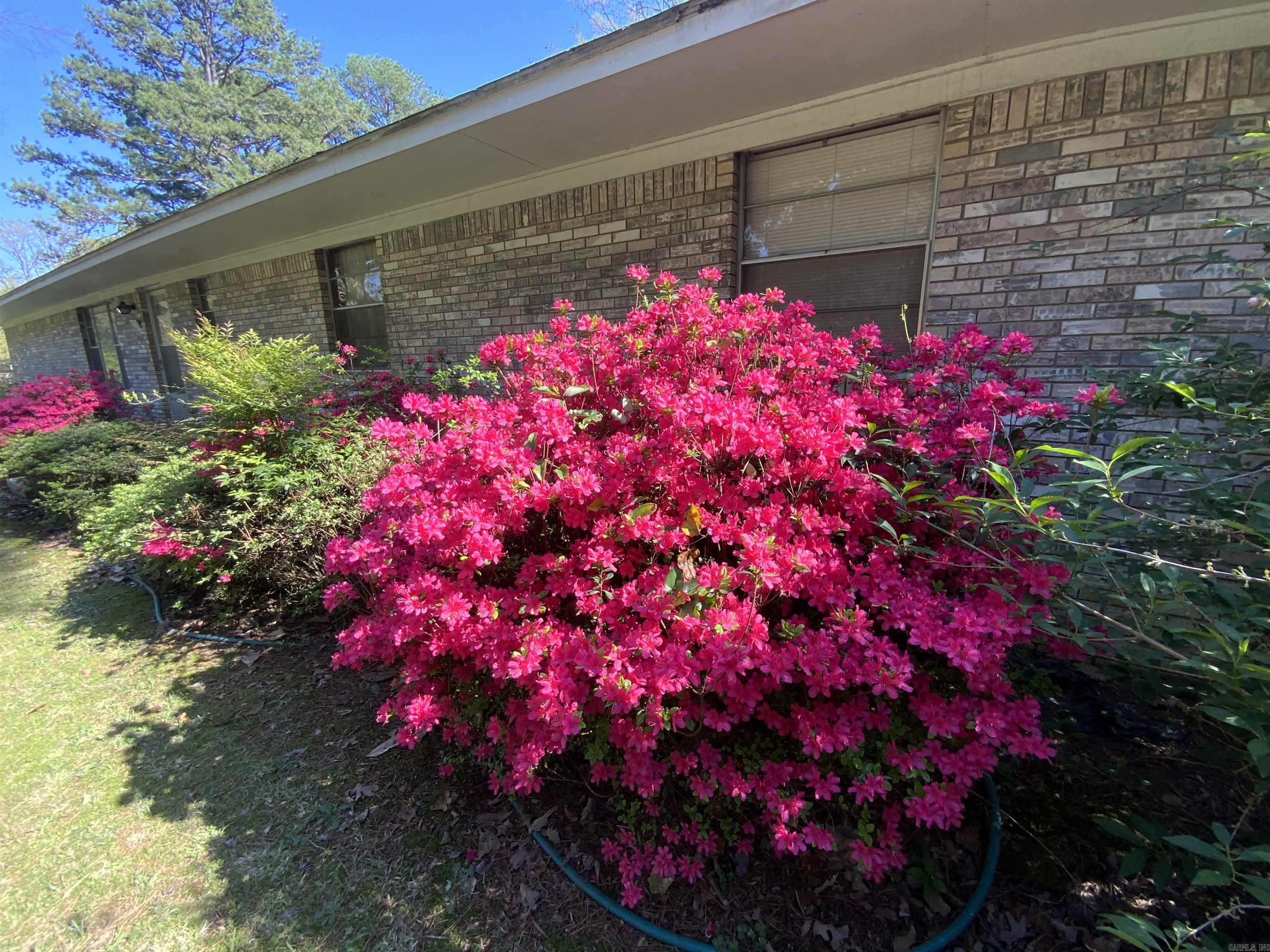 1320  Weddingford  Heber Springs, AR