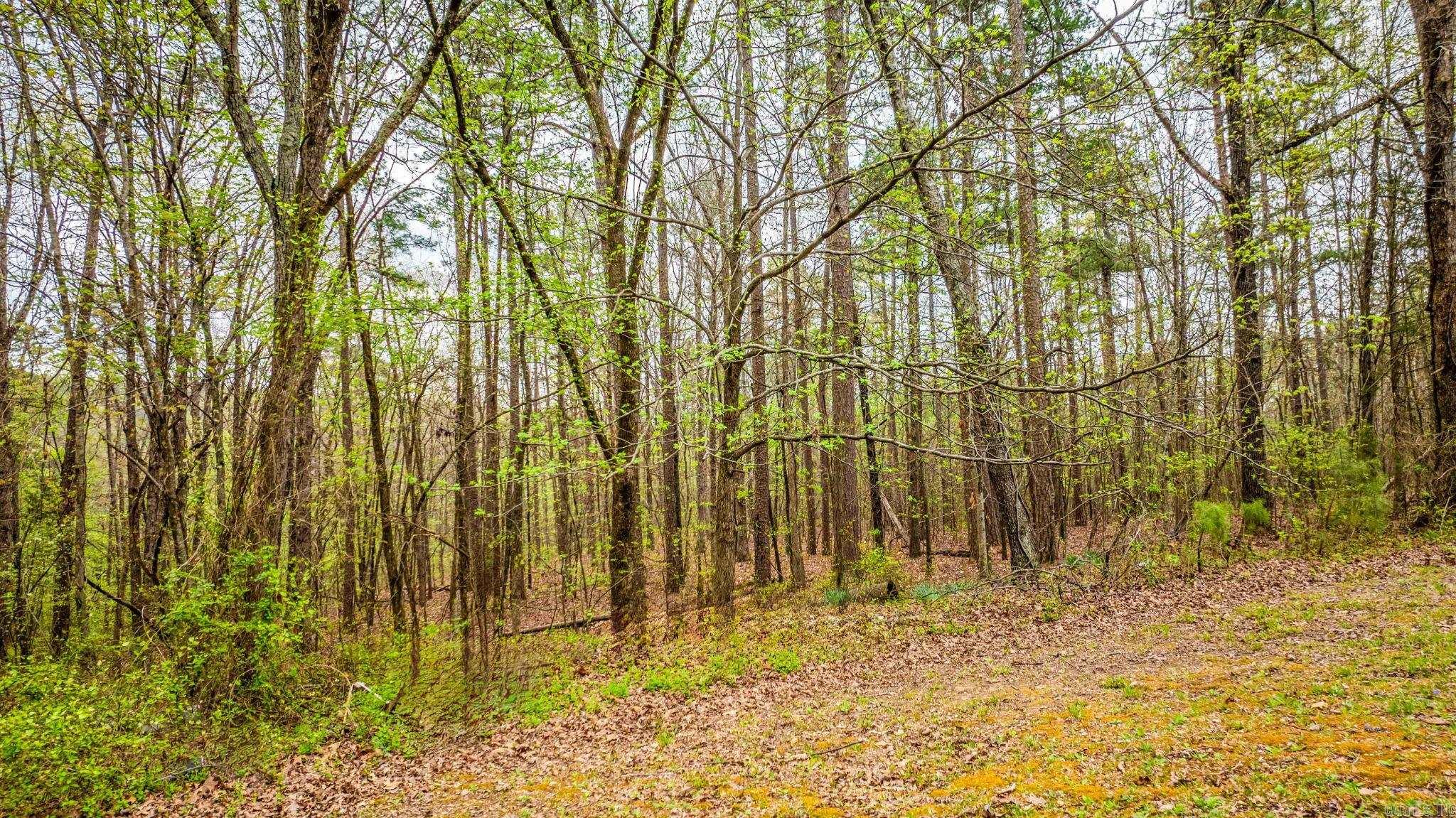2868  Highway 65 N  Clinton, AR