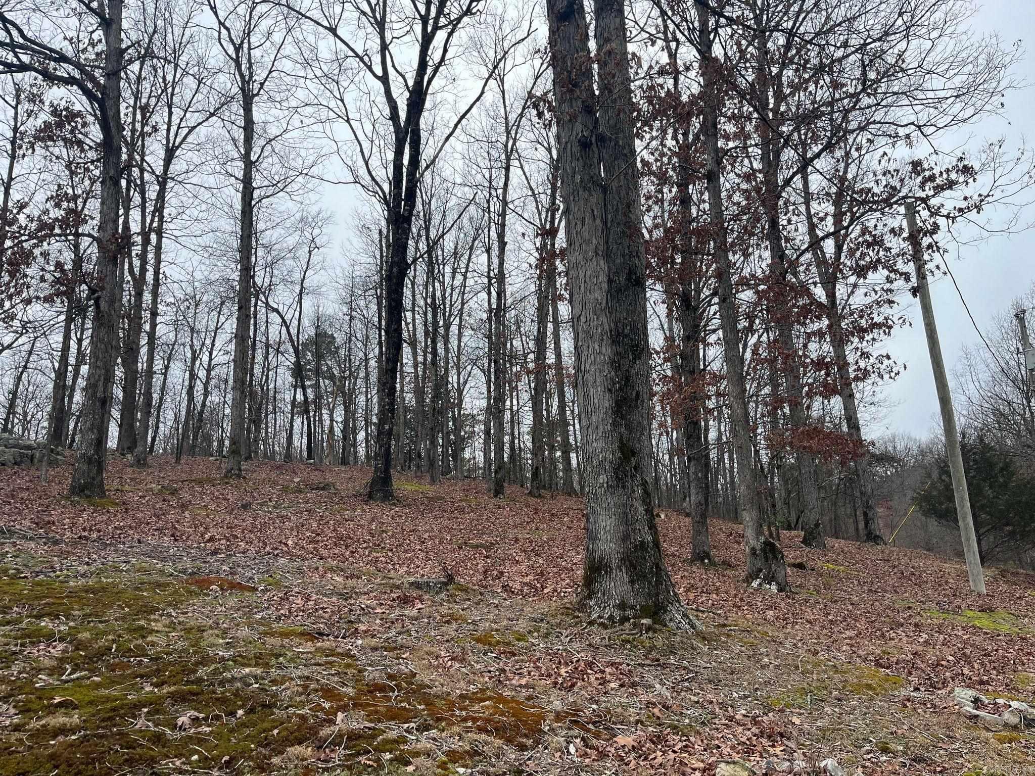 116  Rosewood Ln.  Mena, AR
