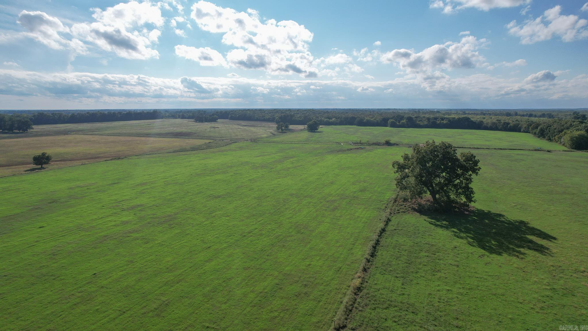 TBD  LR 21  Ashdown, AR