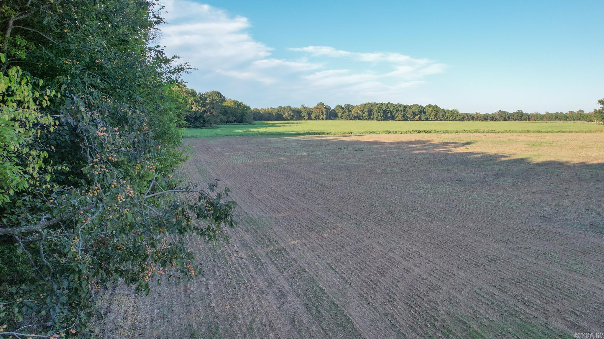 TBD  LR 21  Ashdown, AR