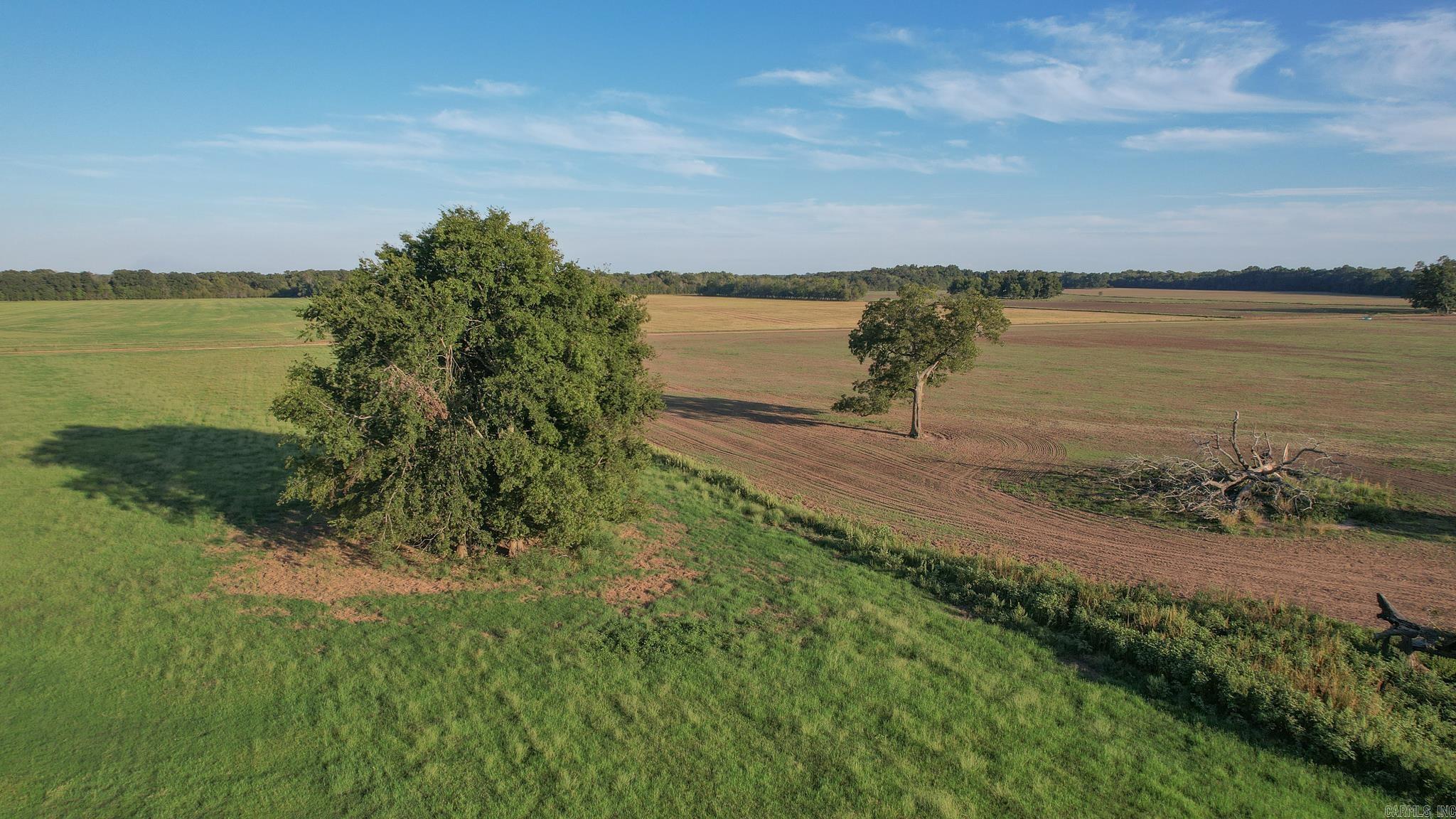 TBD  LR 21  Ashdown, AR