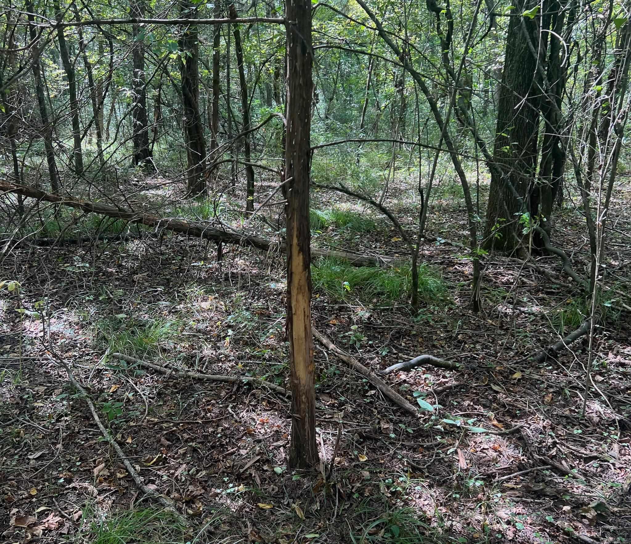 TBD  LR 21  Ashdown, AR
