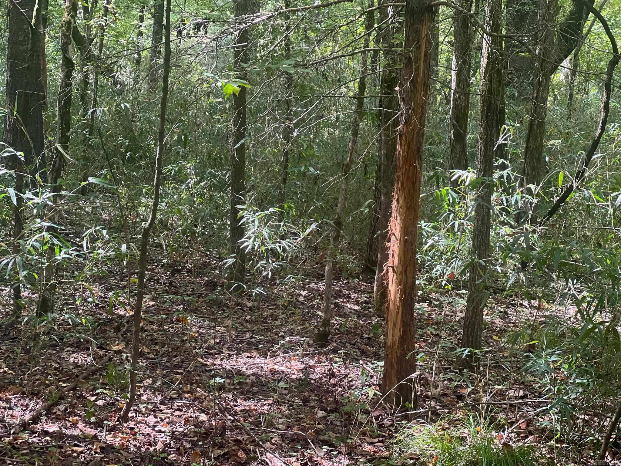 TBD  LR 21  Ashdown, AR
