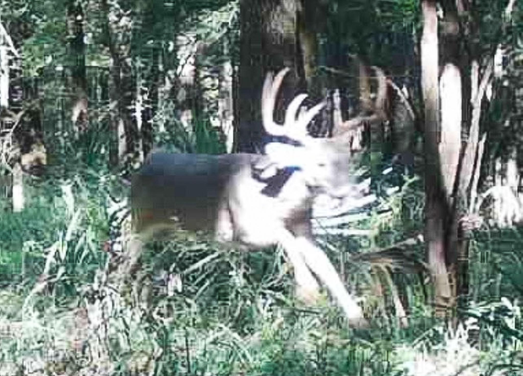 TBD  LR 21  Ashdown, AR