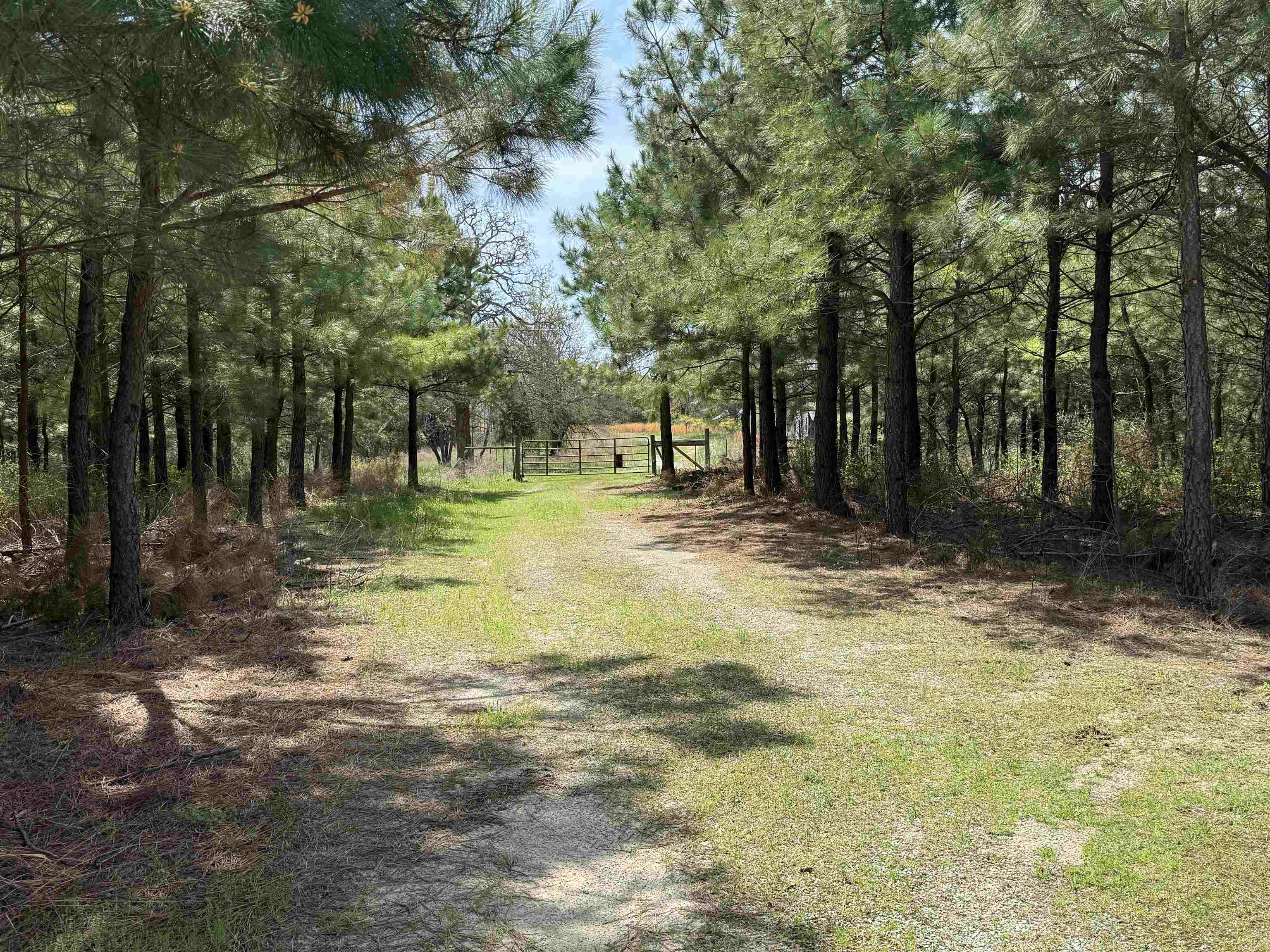 2061  Chapel Hill Road  Brockwell, AR