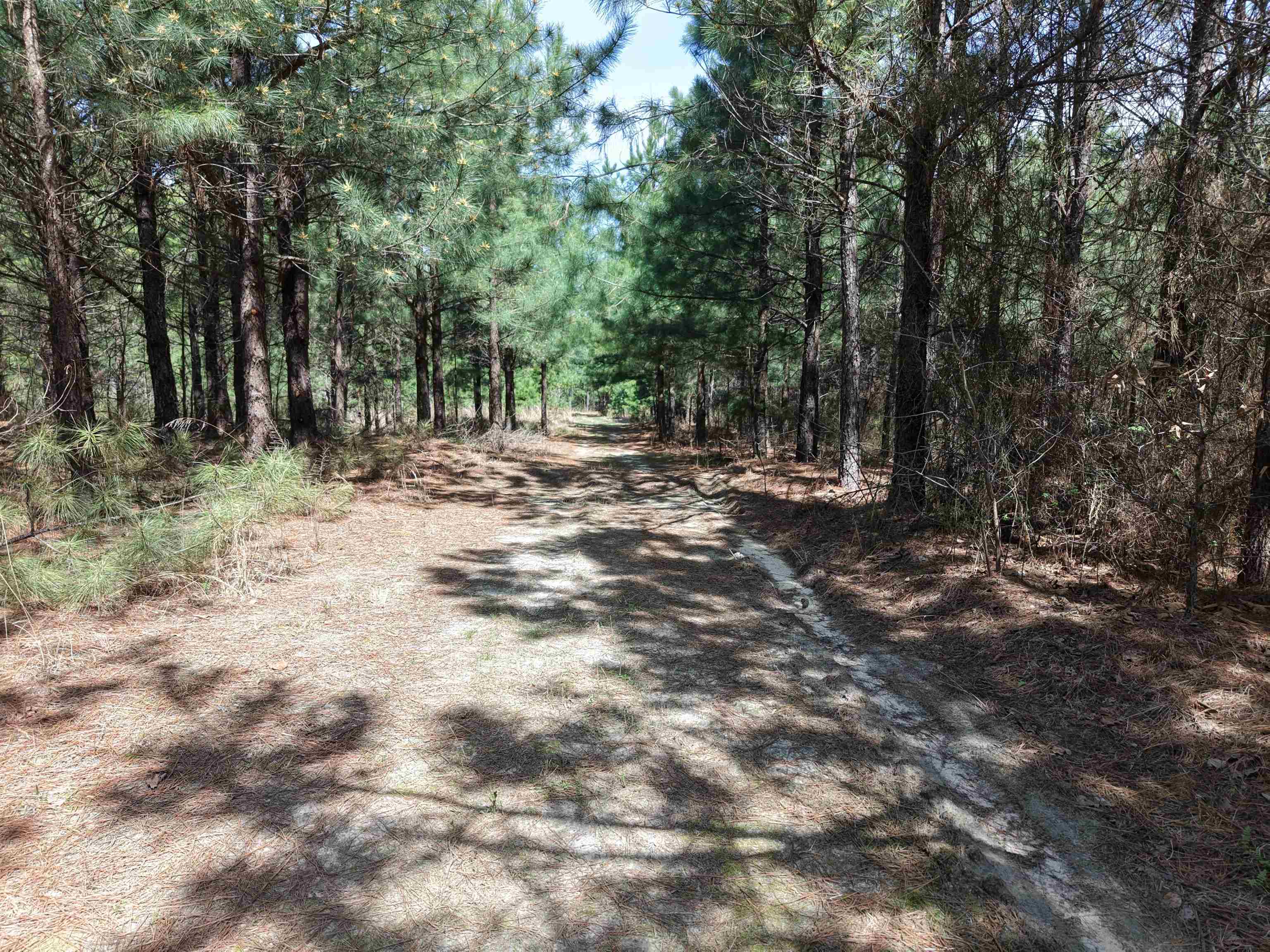2061  Chapel Hill Road  Brockwell, AR