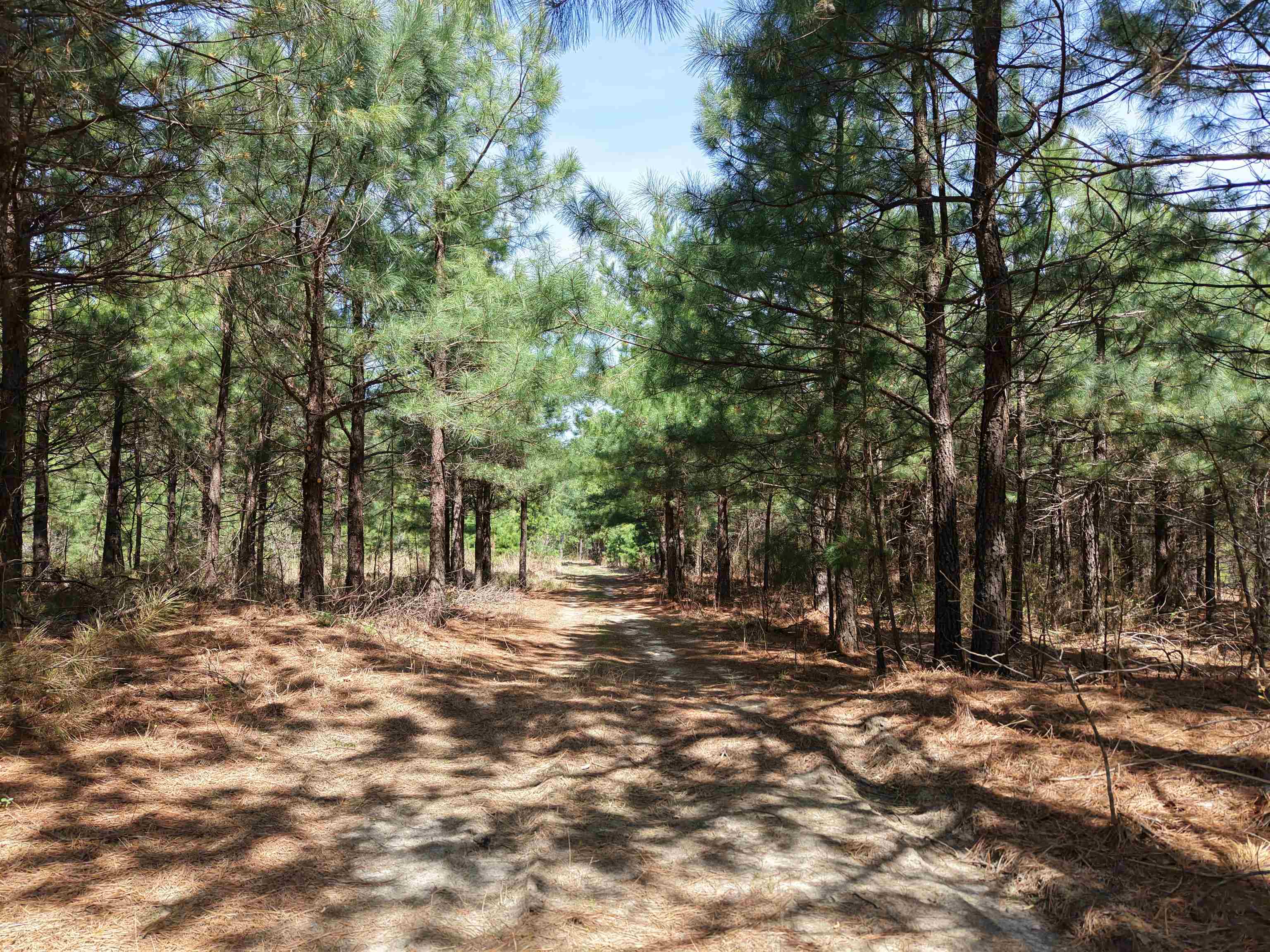 2061  Chapel Hill Road  Brockwell, AR