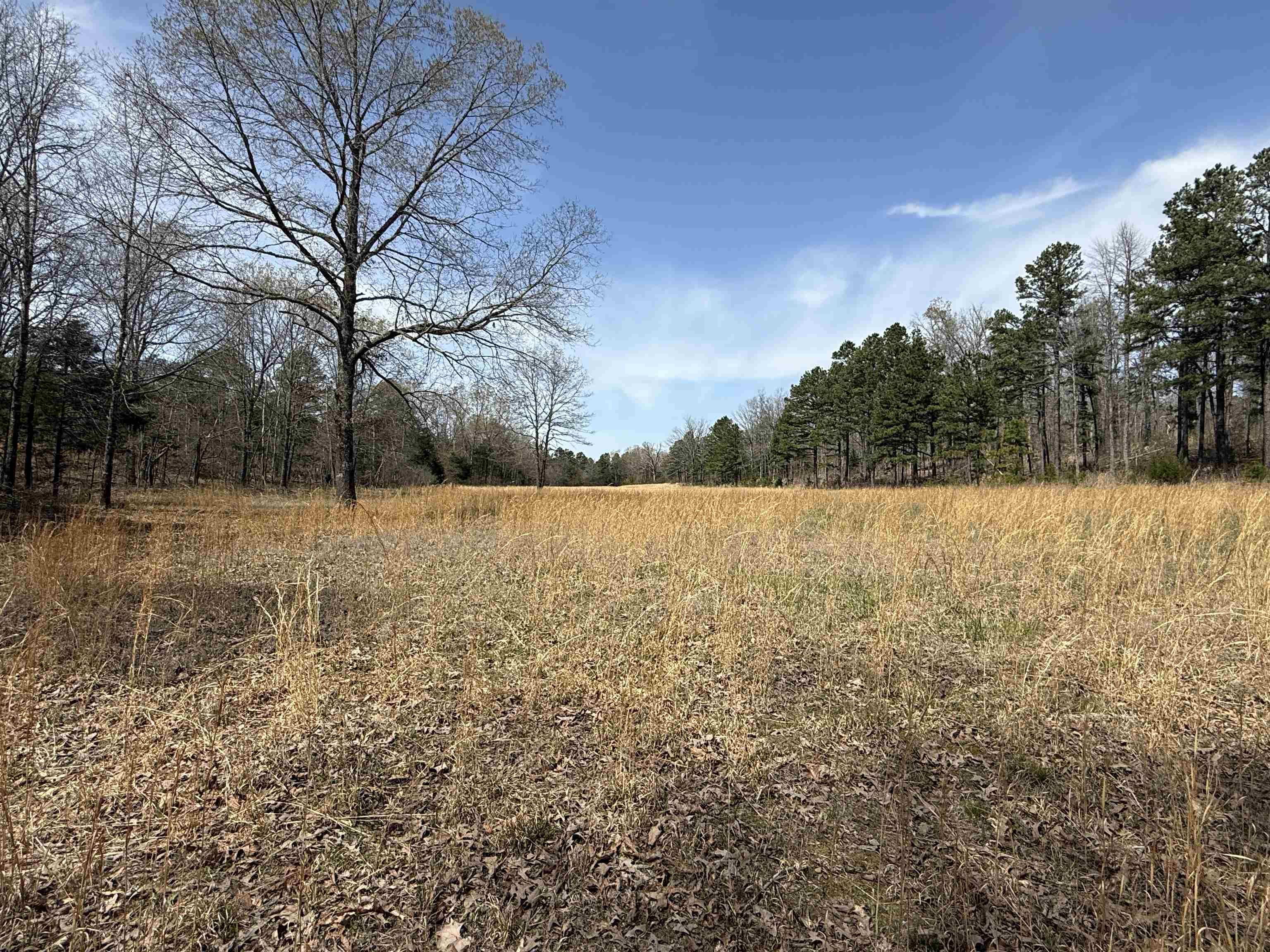 2061  Chapel Hill Road  Brockwell, AR
