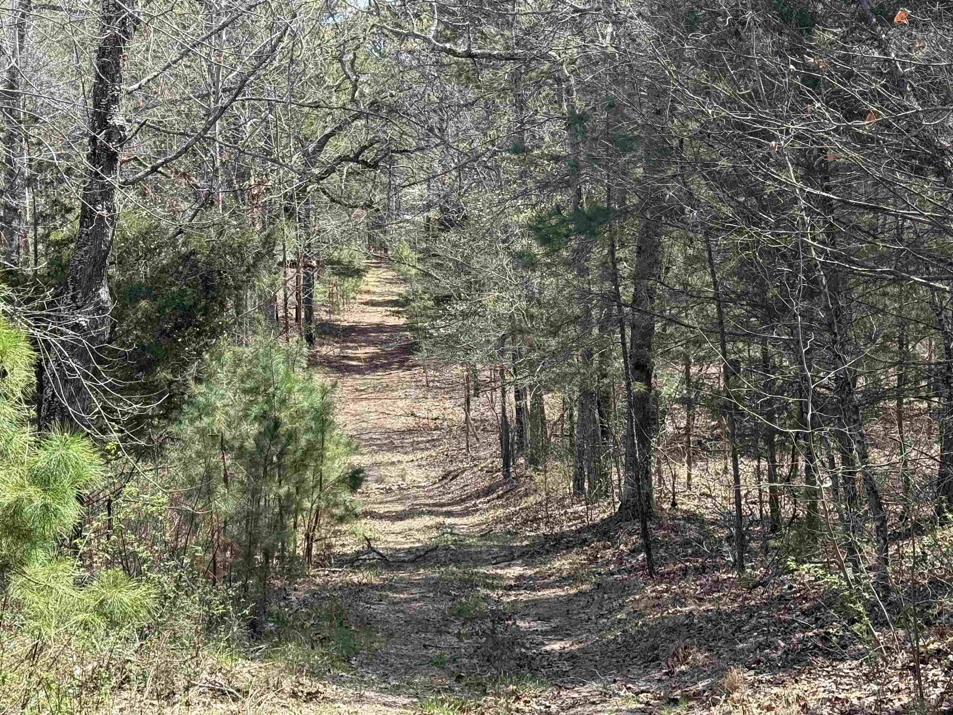 2061  Chapel Hill Road  Brockwell, AR