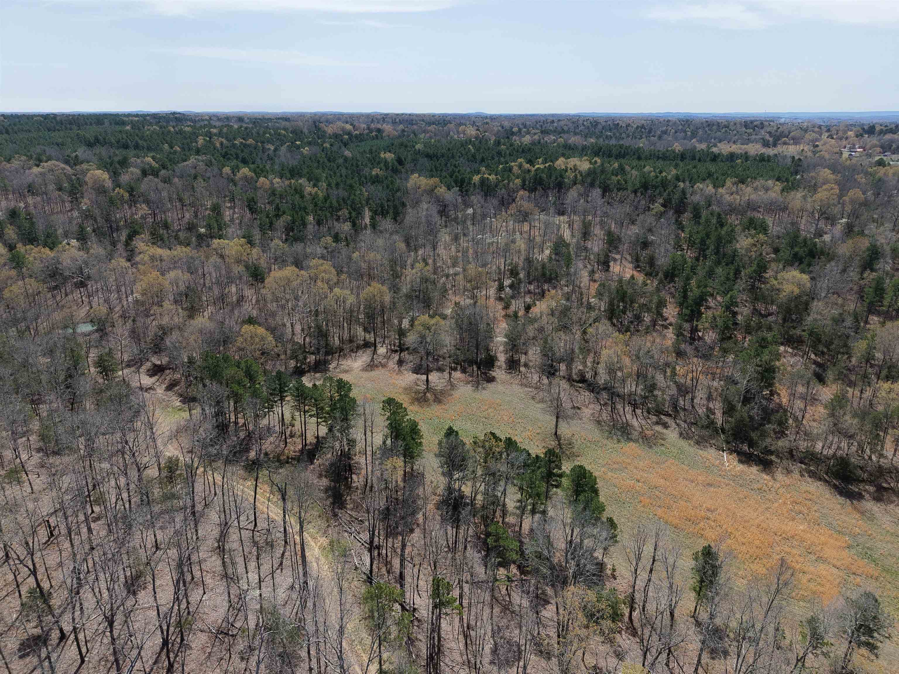 2061  Chapel Hill Road  Brockwell, AR