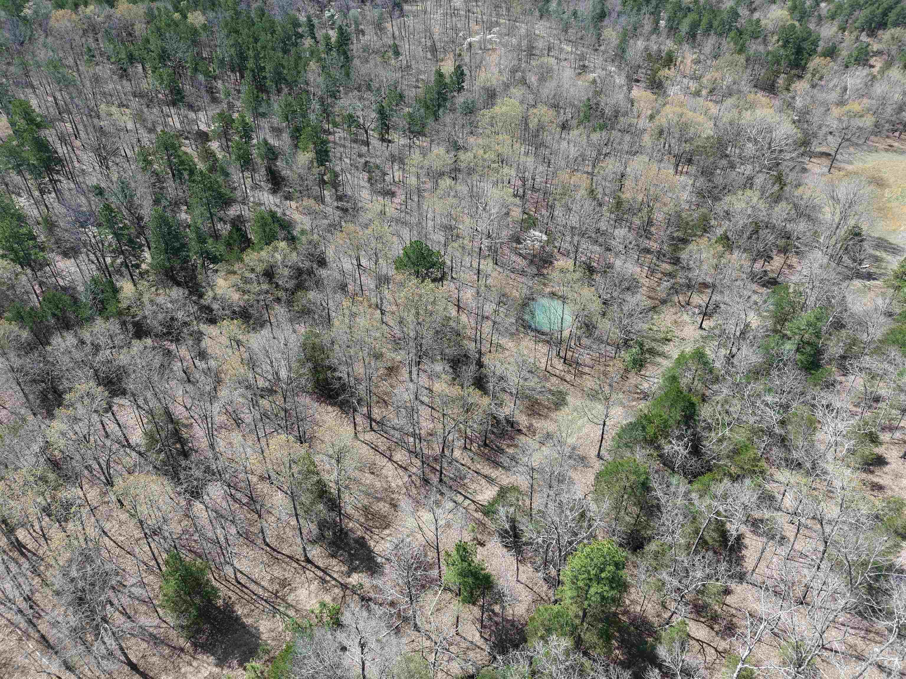 2061  Chapel Hill Road  Brockwell, AR