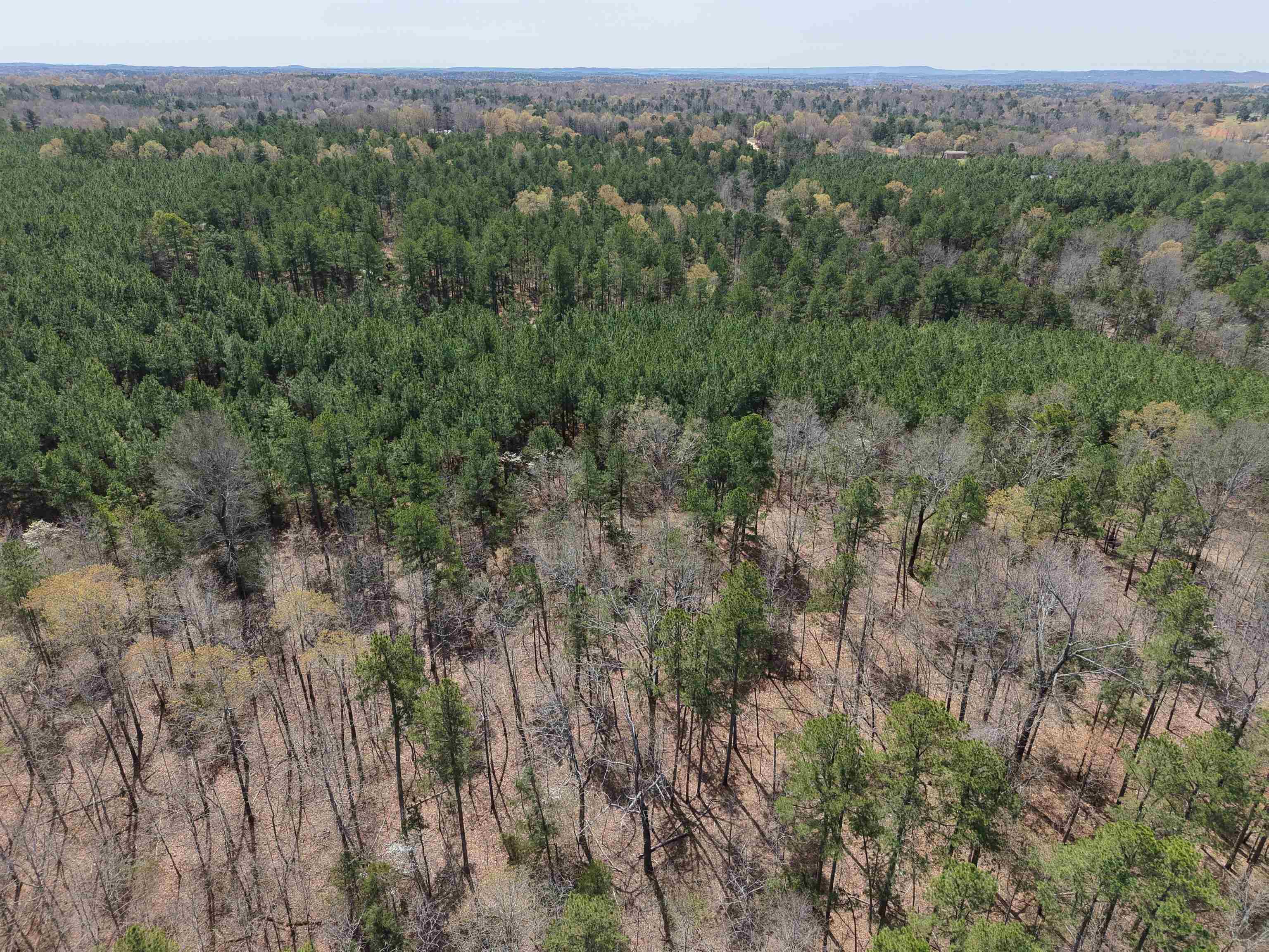 2061  Chapel Hill Road  Brockwell, AR
