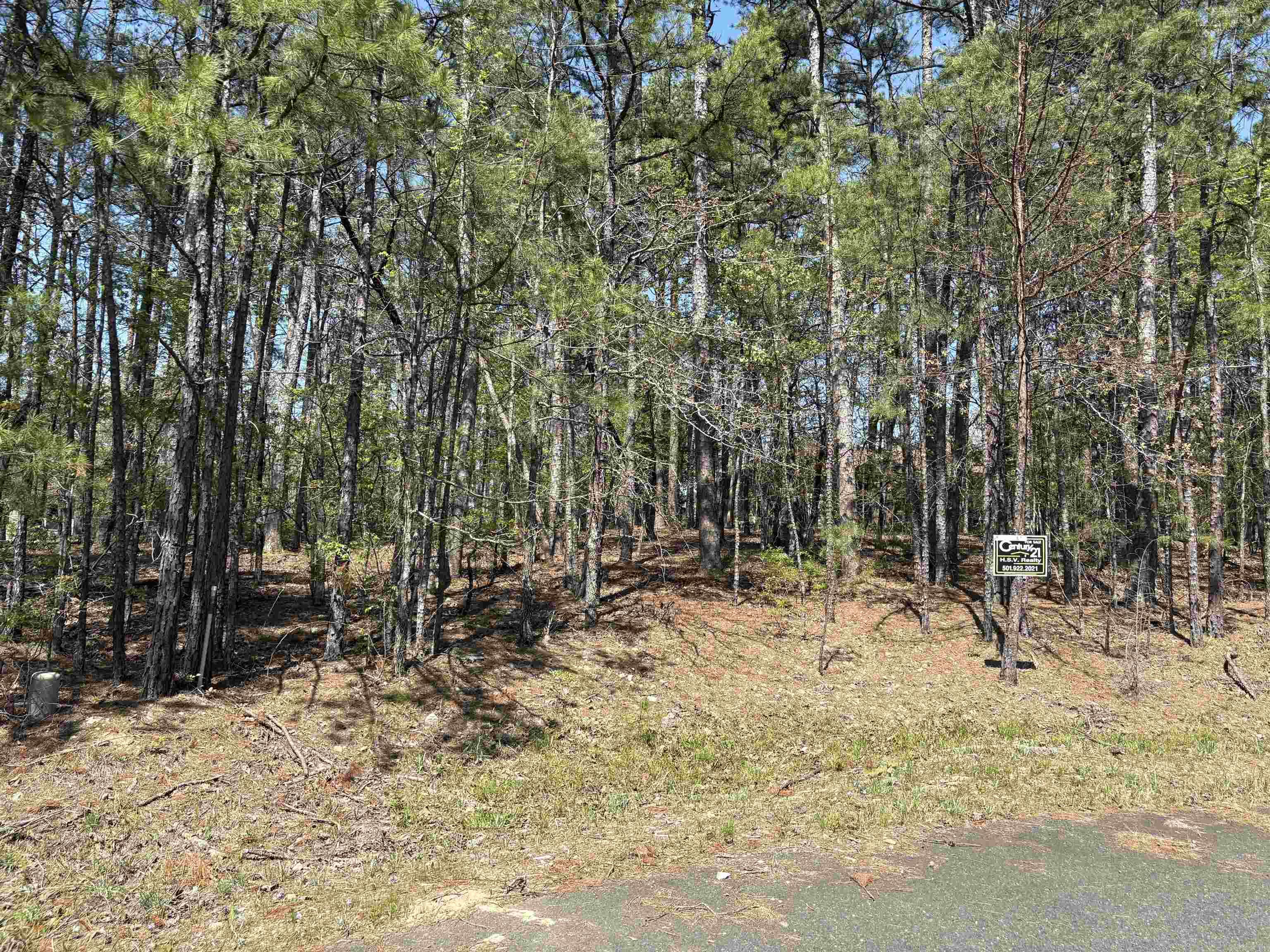 27  Cresta  Hot Springs Village, AR