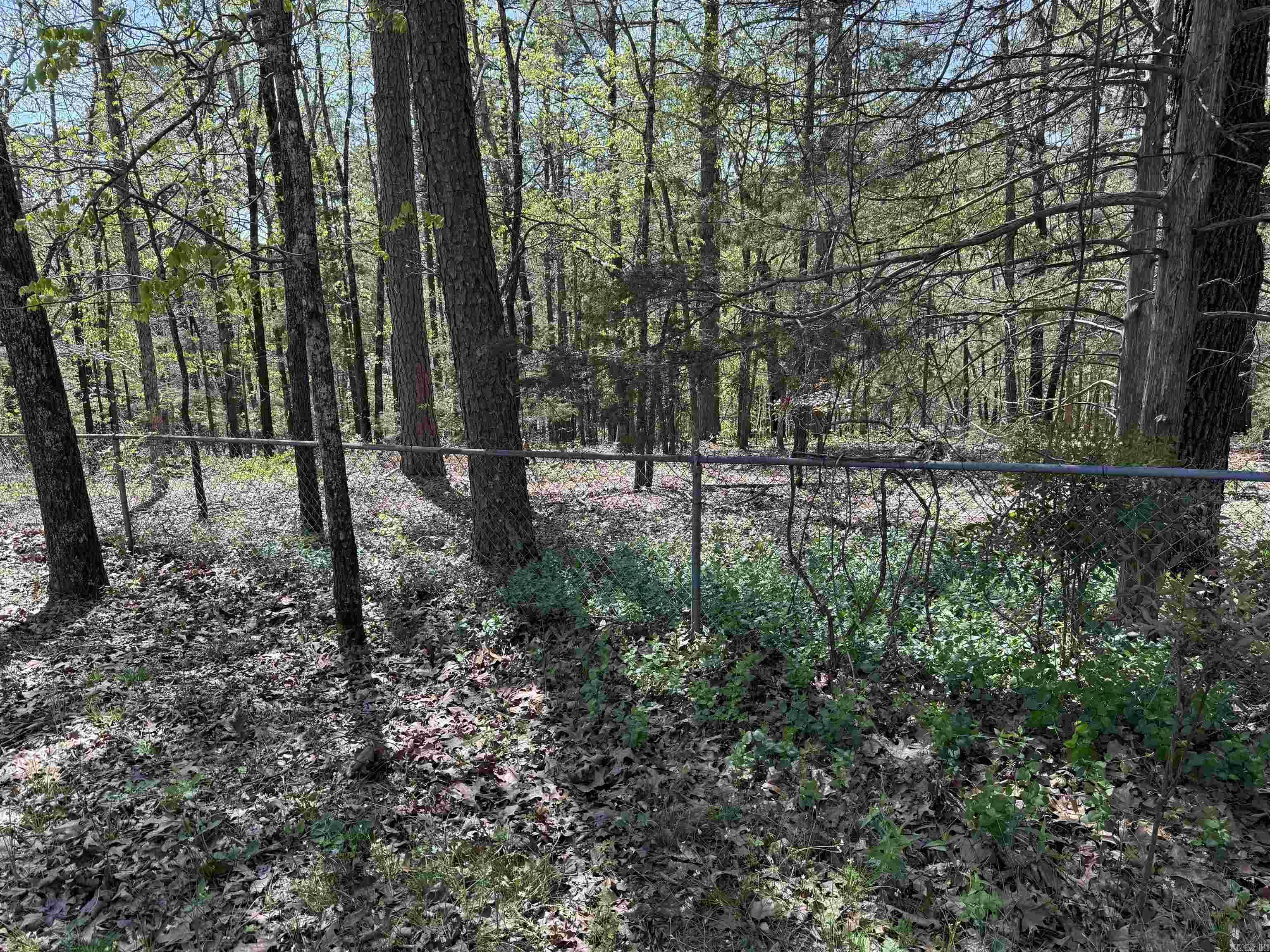 116  Dunn Hollow  Fairfield Bay, AR