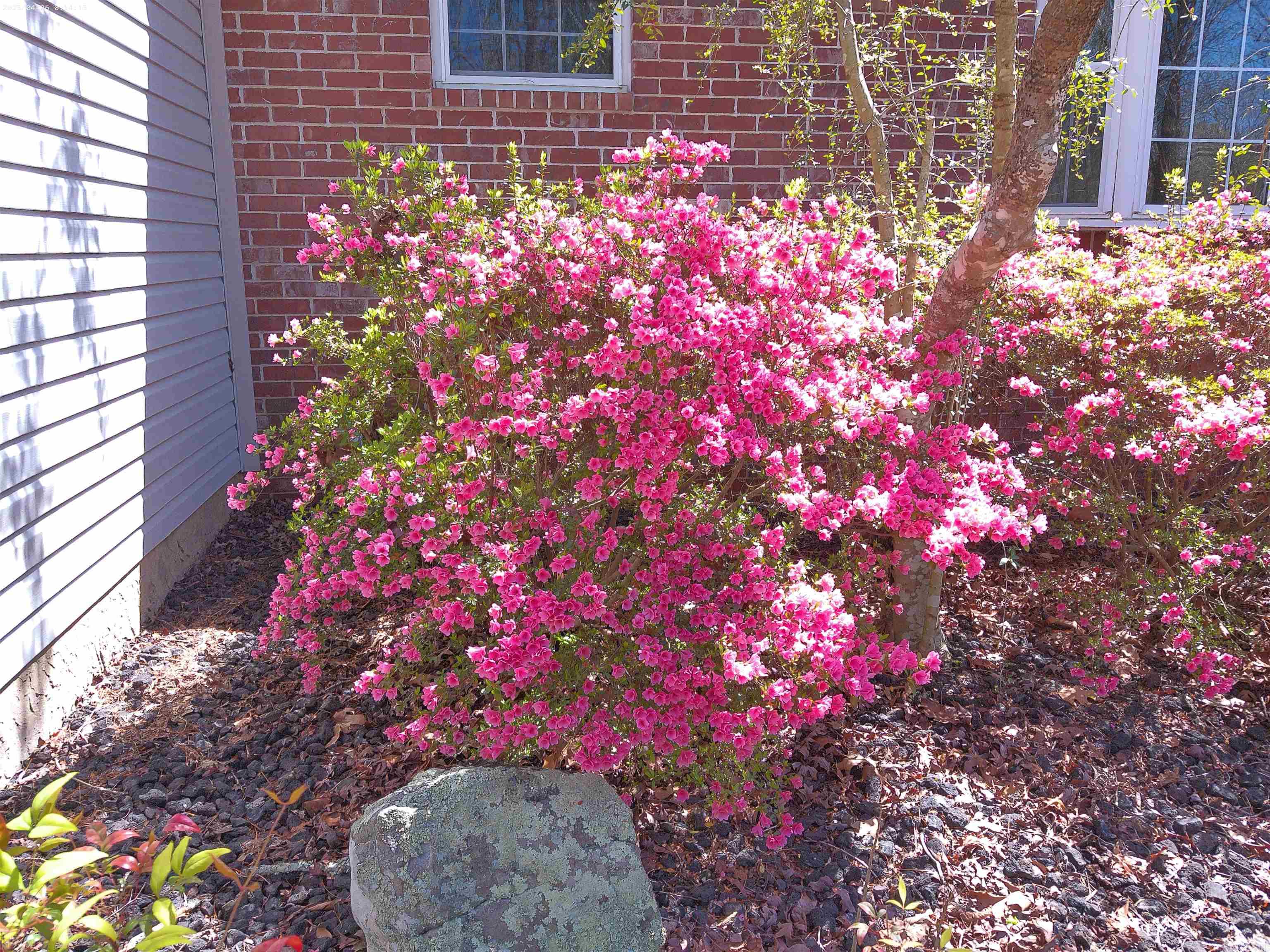 62 ALICANTE WAY Hot Springs Village, AR 71909