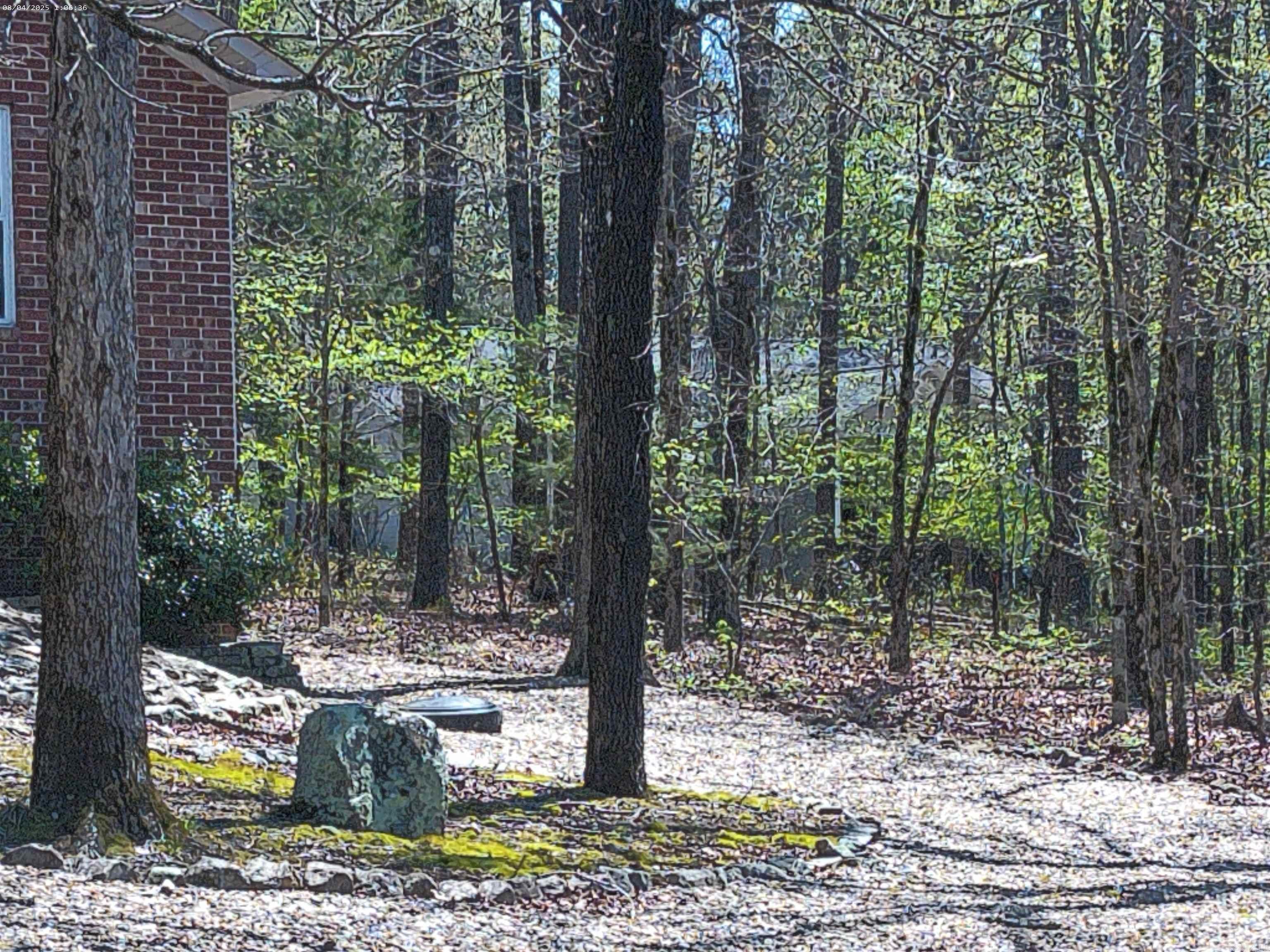 62 ALICANTE WAY Hot Springs Village, AR 71909