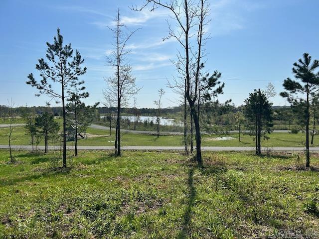 Lot 14  Barking Squirrel  Hot Springs, AR