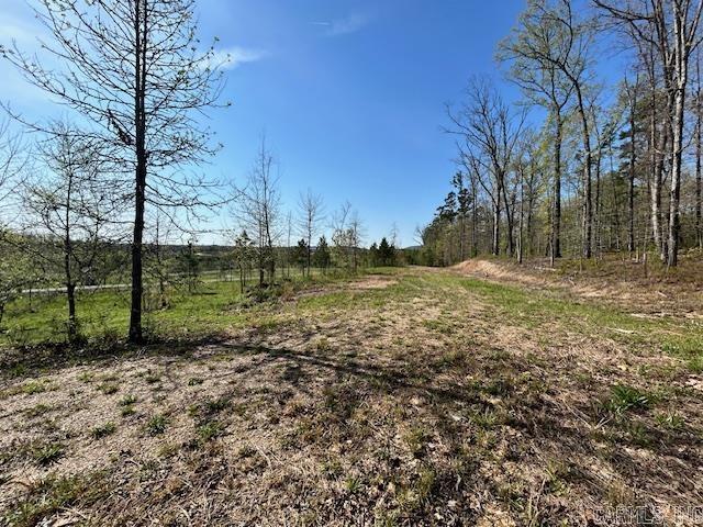 Lot 14  Barking Squirrel  Hot Springs, AR