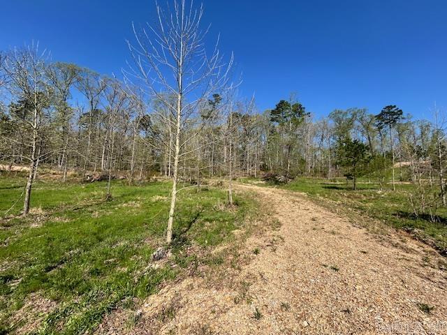 Lot 14  Barking Squirrel  Hot Springs, AR