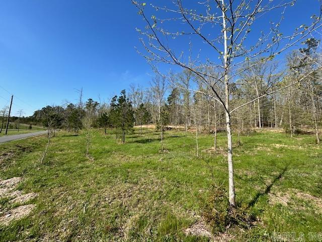 Lot 14  Barking Squirrel  Hot Springs, AR