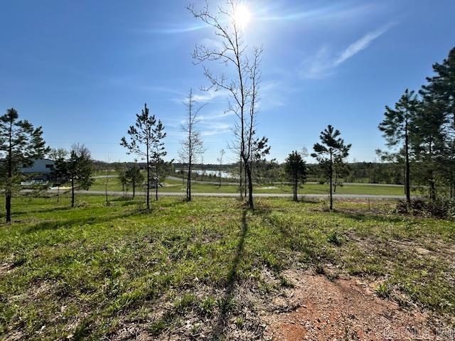 Lot 14  Barking Squirrel  Hot Springs, AR