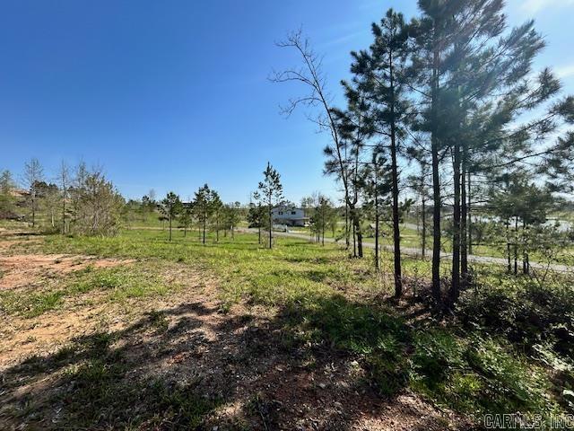 Lot 14  Barking Squirrel  Hot Springs, AR
