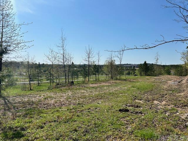 Lot 14  Barking Squirrel  Hot Springs, AR