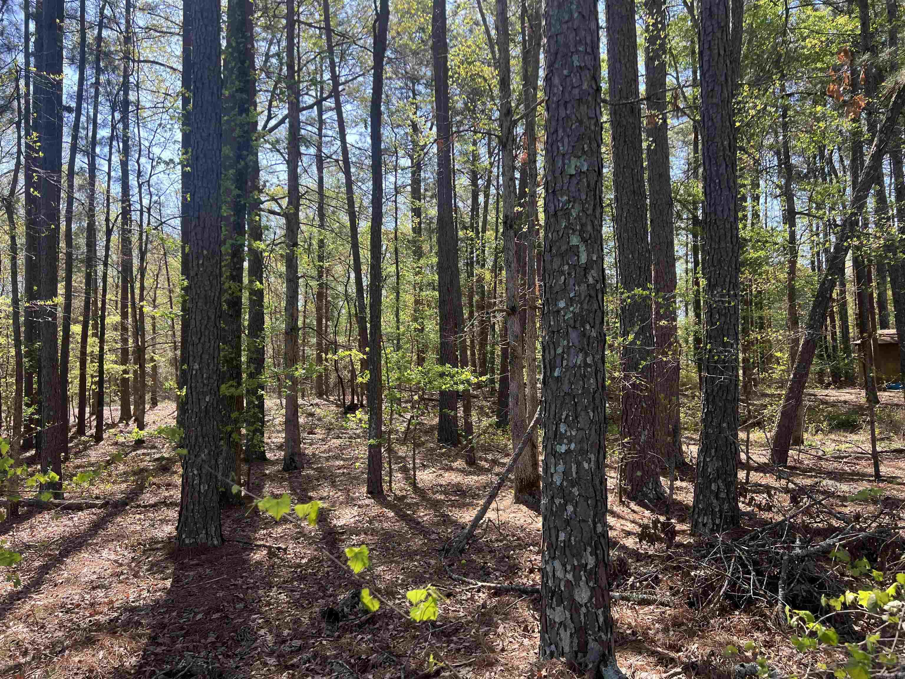 9693  Highway 270  Sheridan, AR