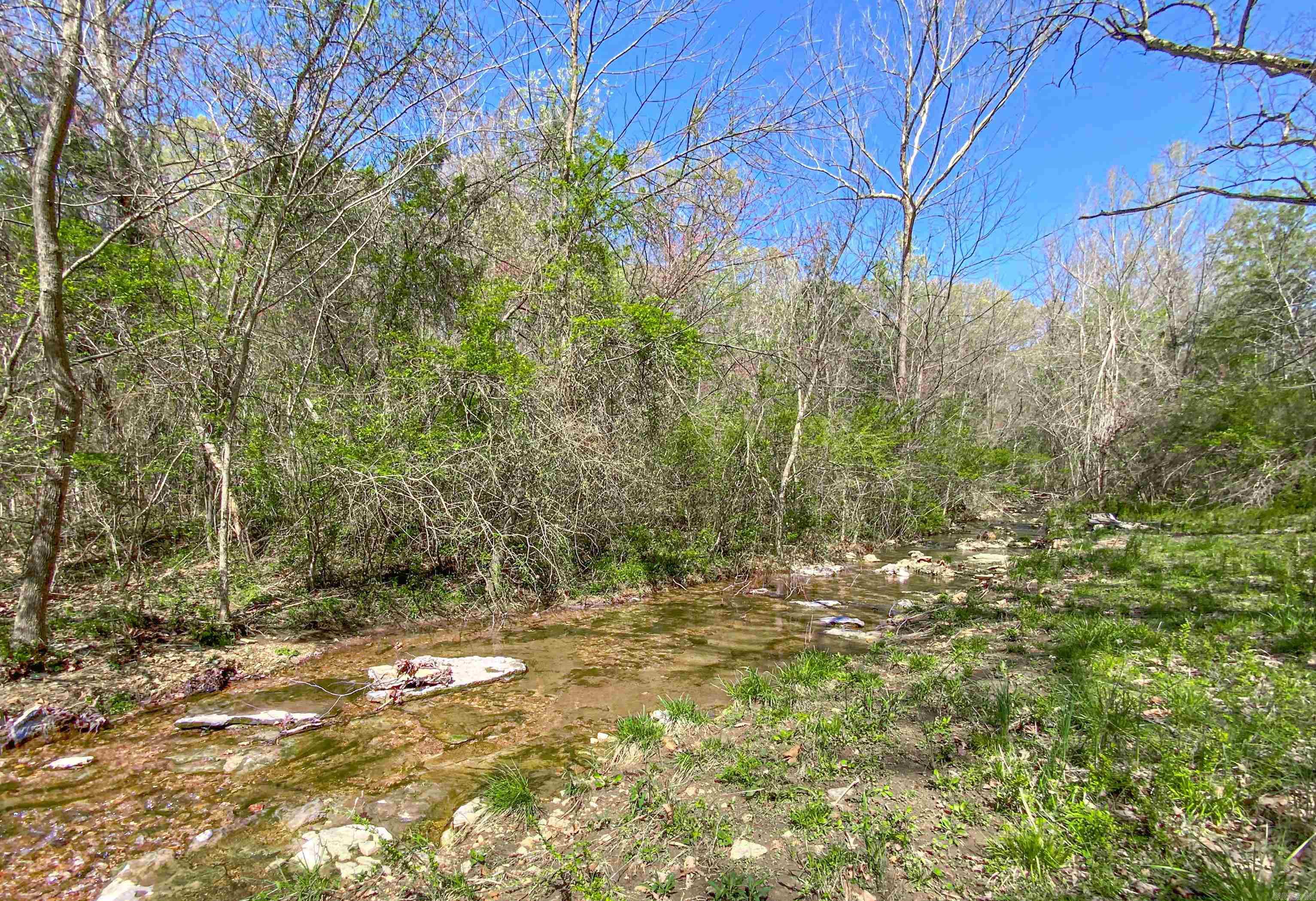 110  Walnut  Yellville, AR
