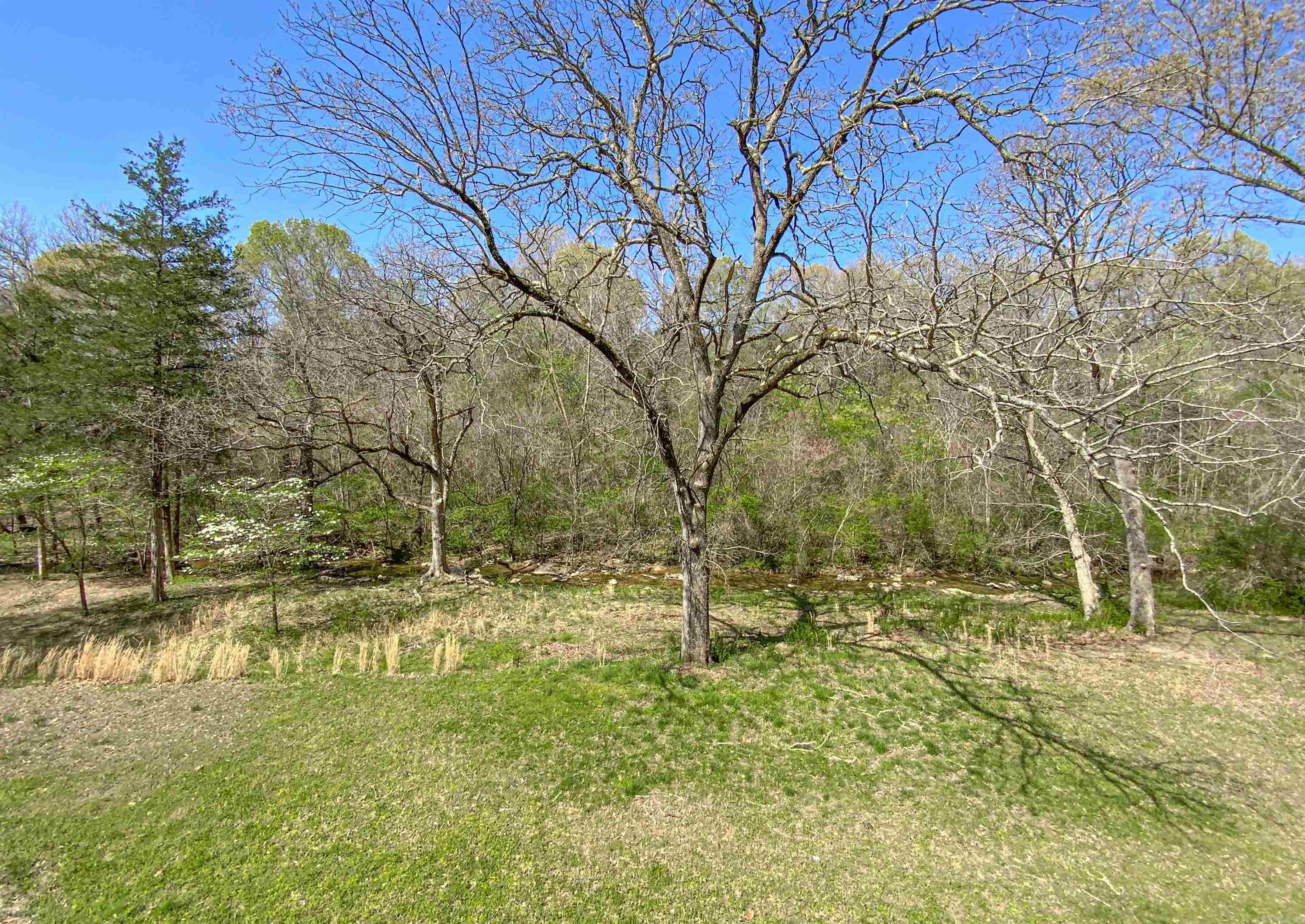 110  Walnut  Yellville, AR