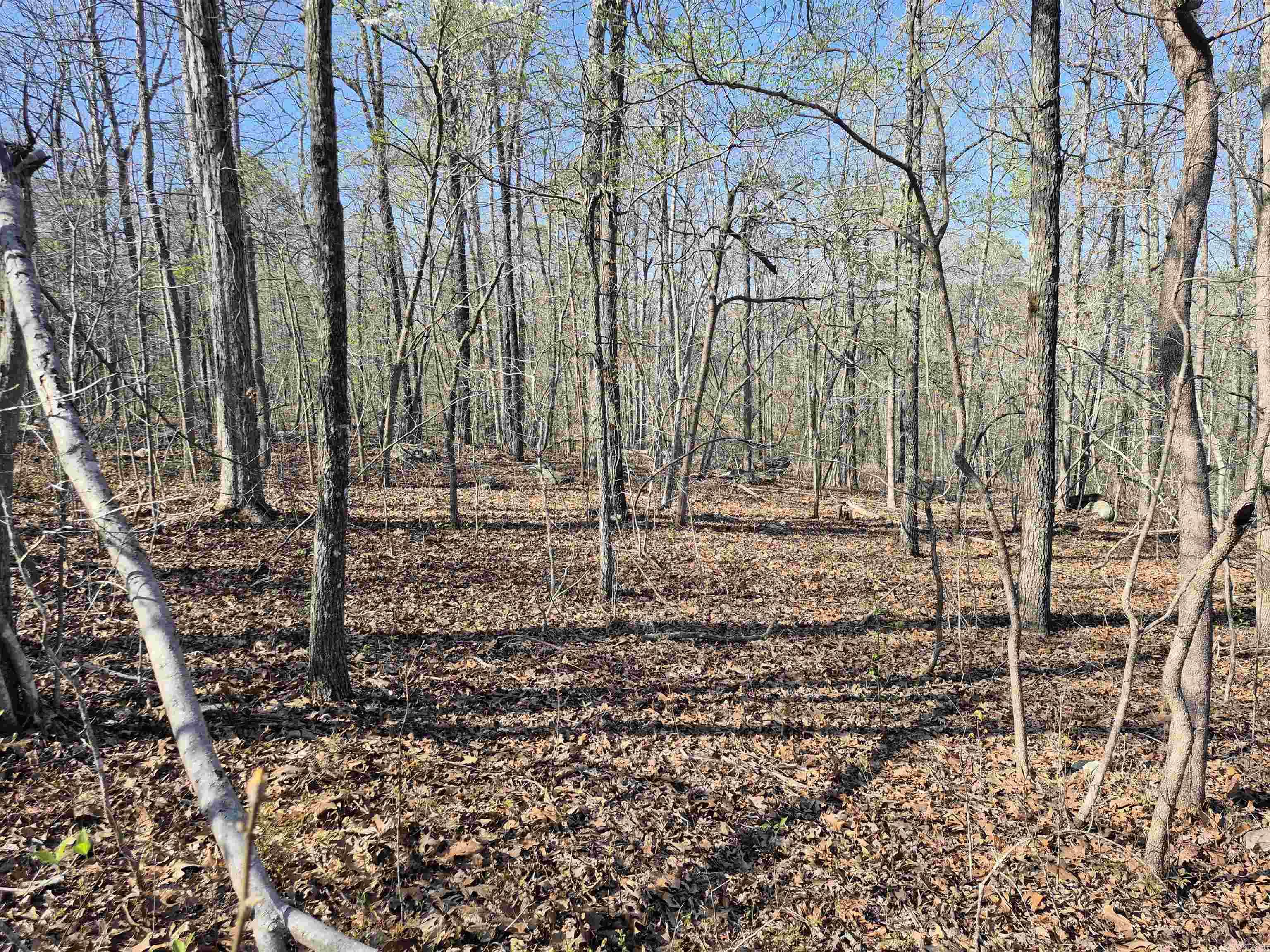 255  Unbreakable RD  Marshall, AR