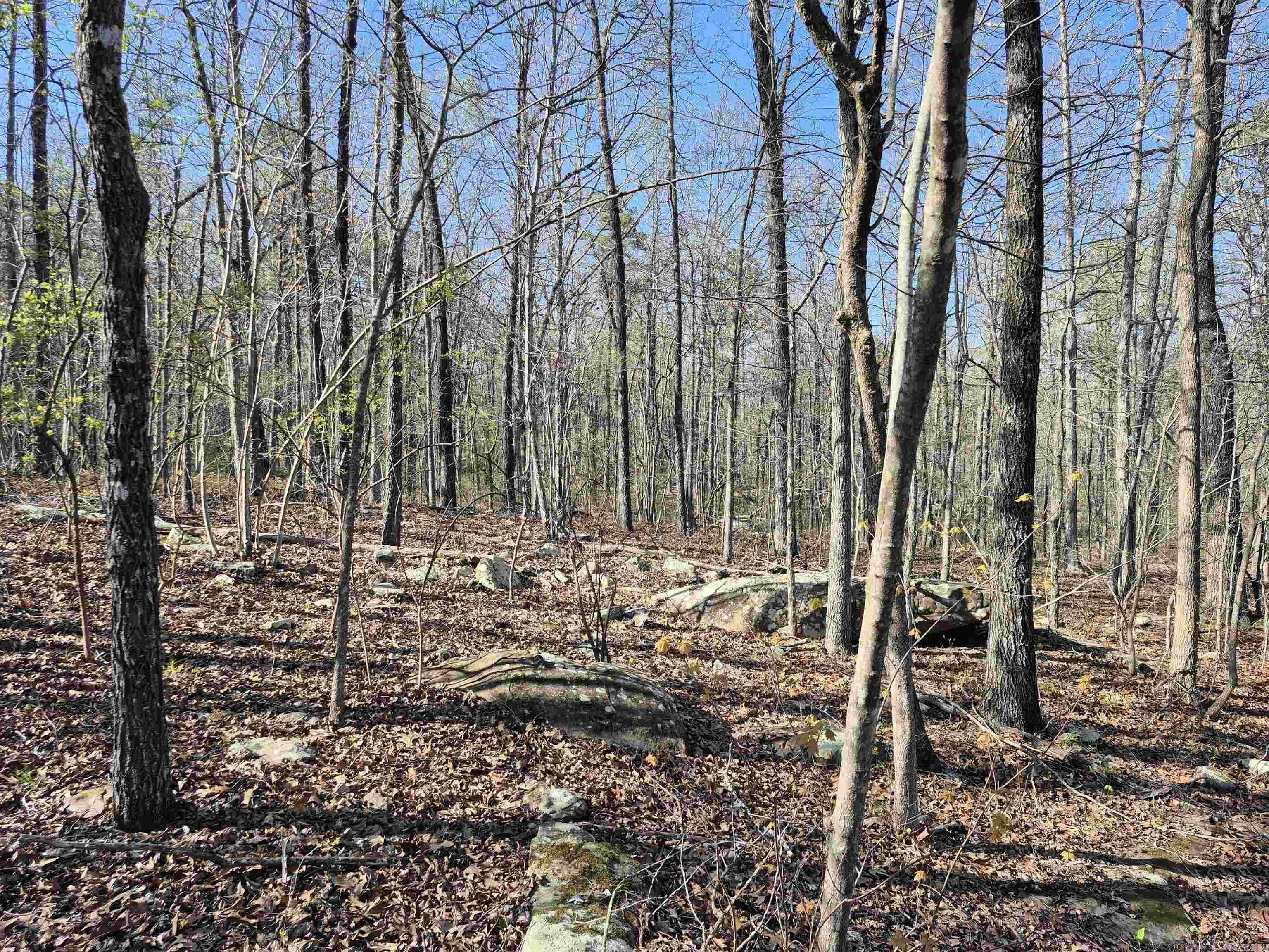 255  Unbreakable RD  Marshall, AR