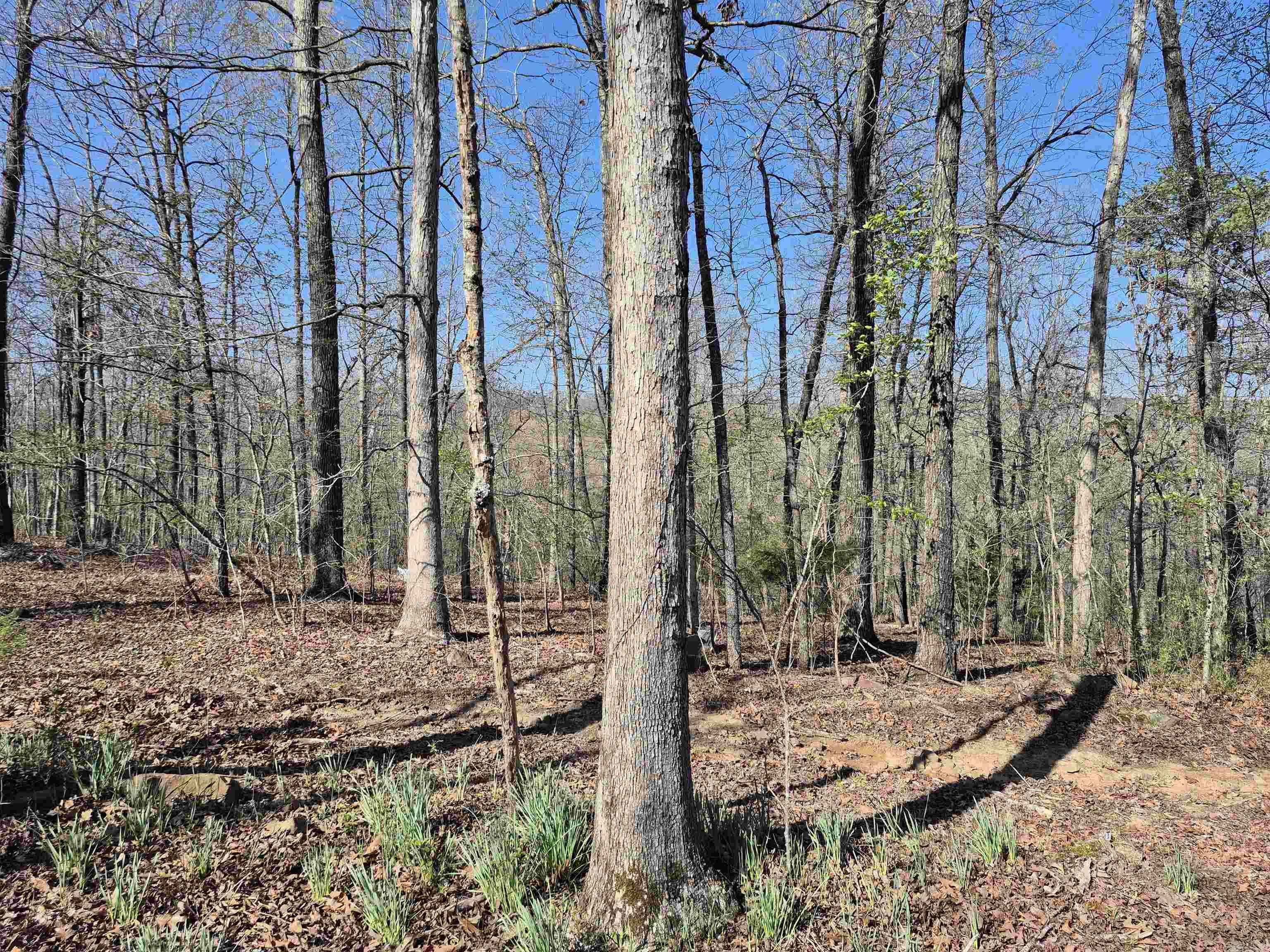 255  Unbreakable RD  Marshall, AR