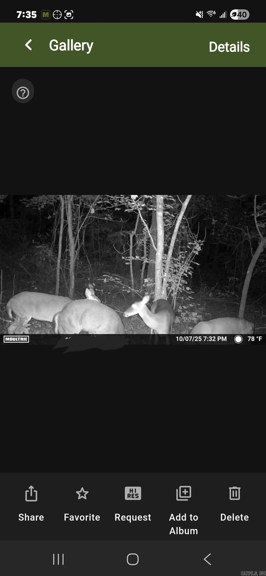 255 Unbreakable RD  Marshall, AR
