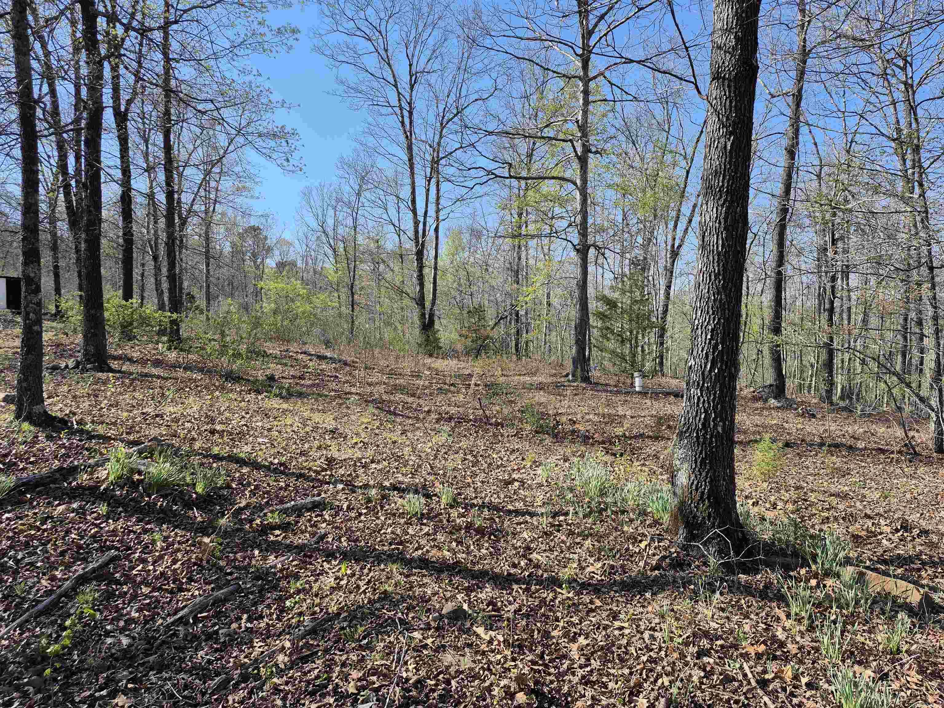 255  Unbreakable RD  Marshall, AR