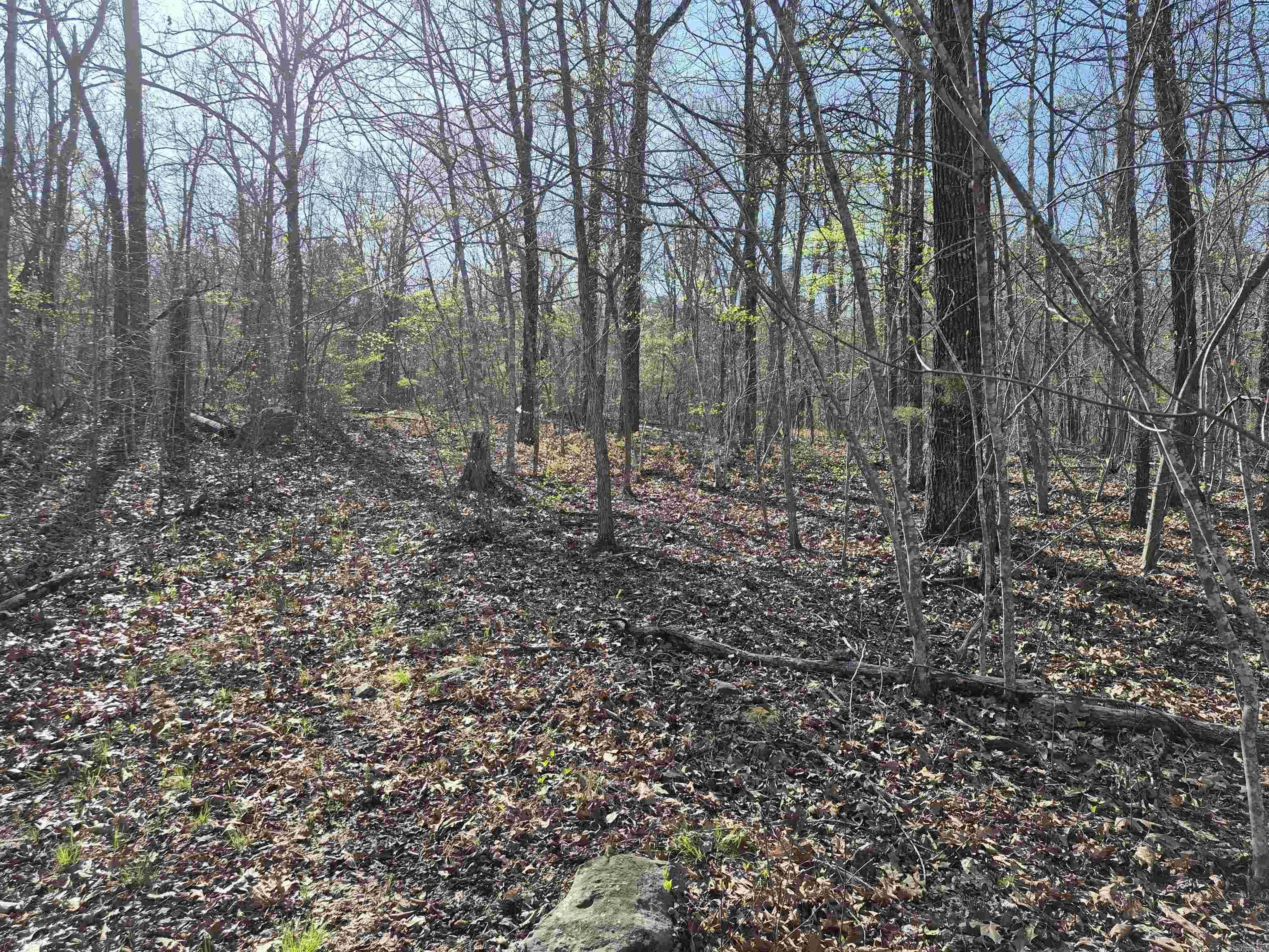 255  Unbreakable RD  Marshall, AR