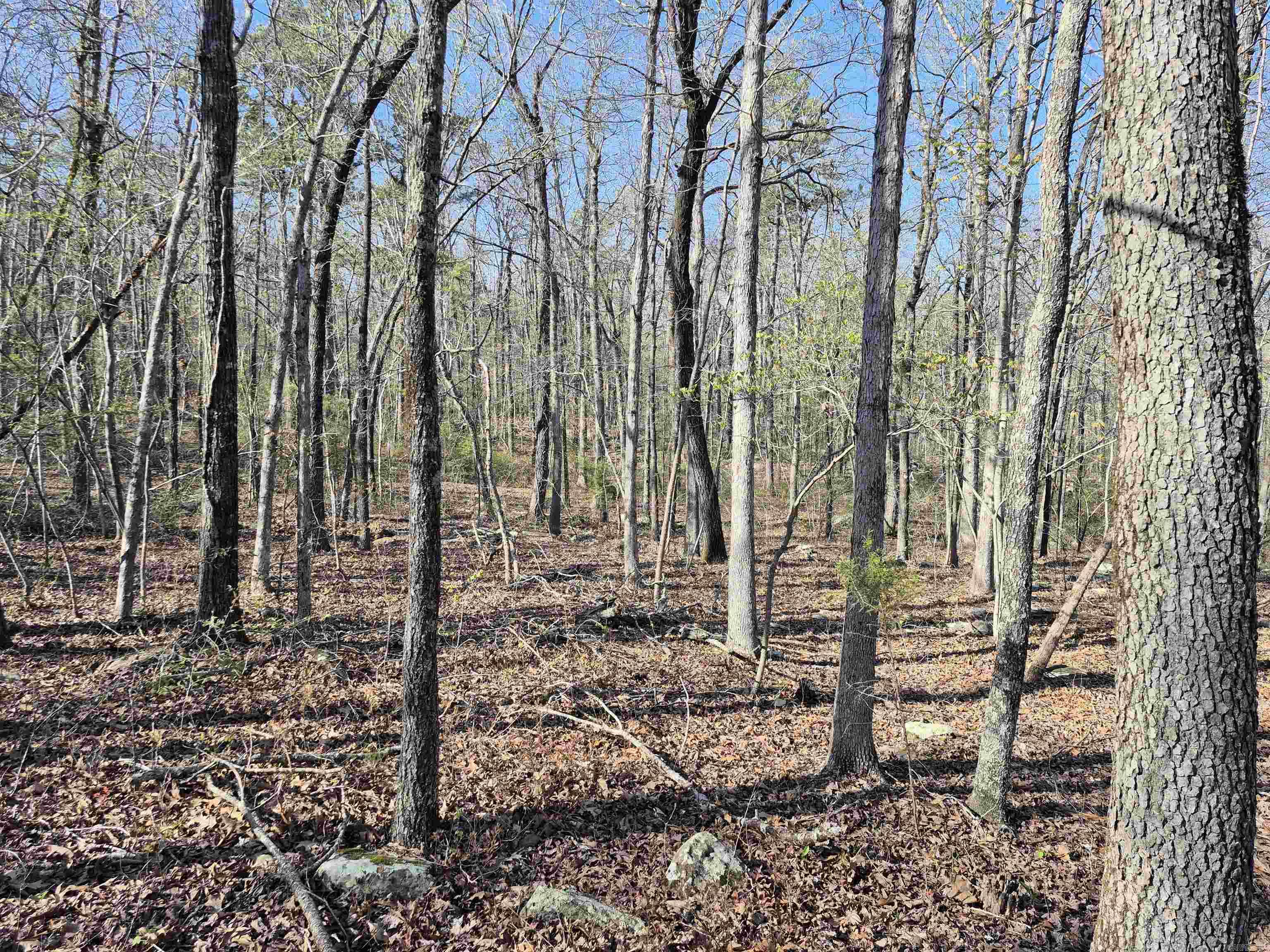 255  Unbreakable RD  Marshall, AR