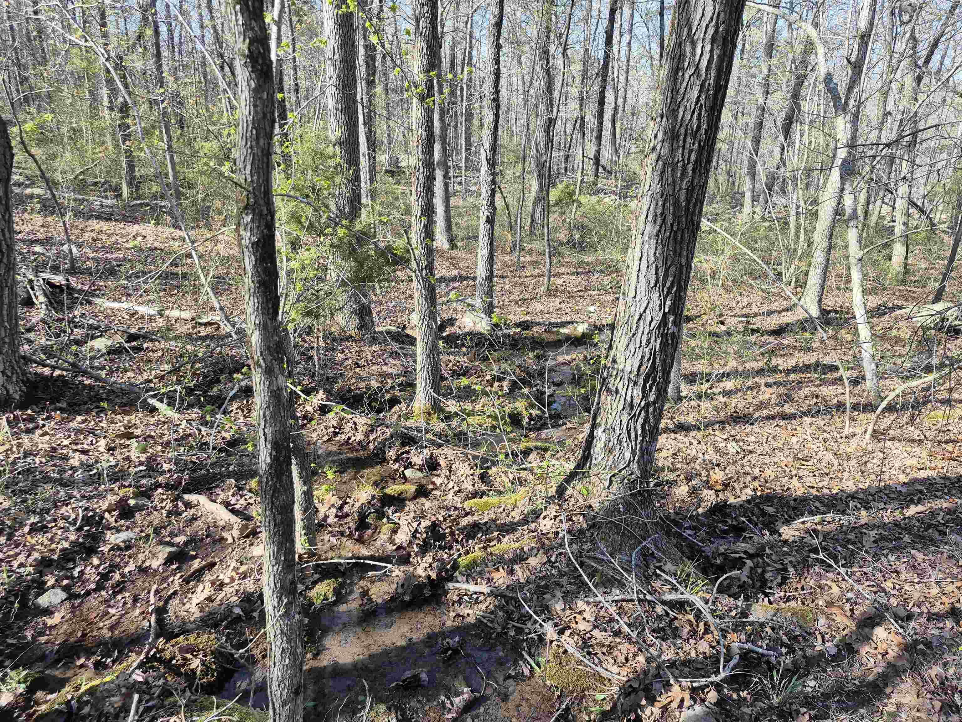 255  Unbreakable RD  Marshall, AR