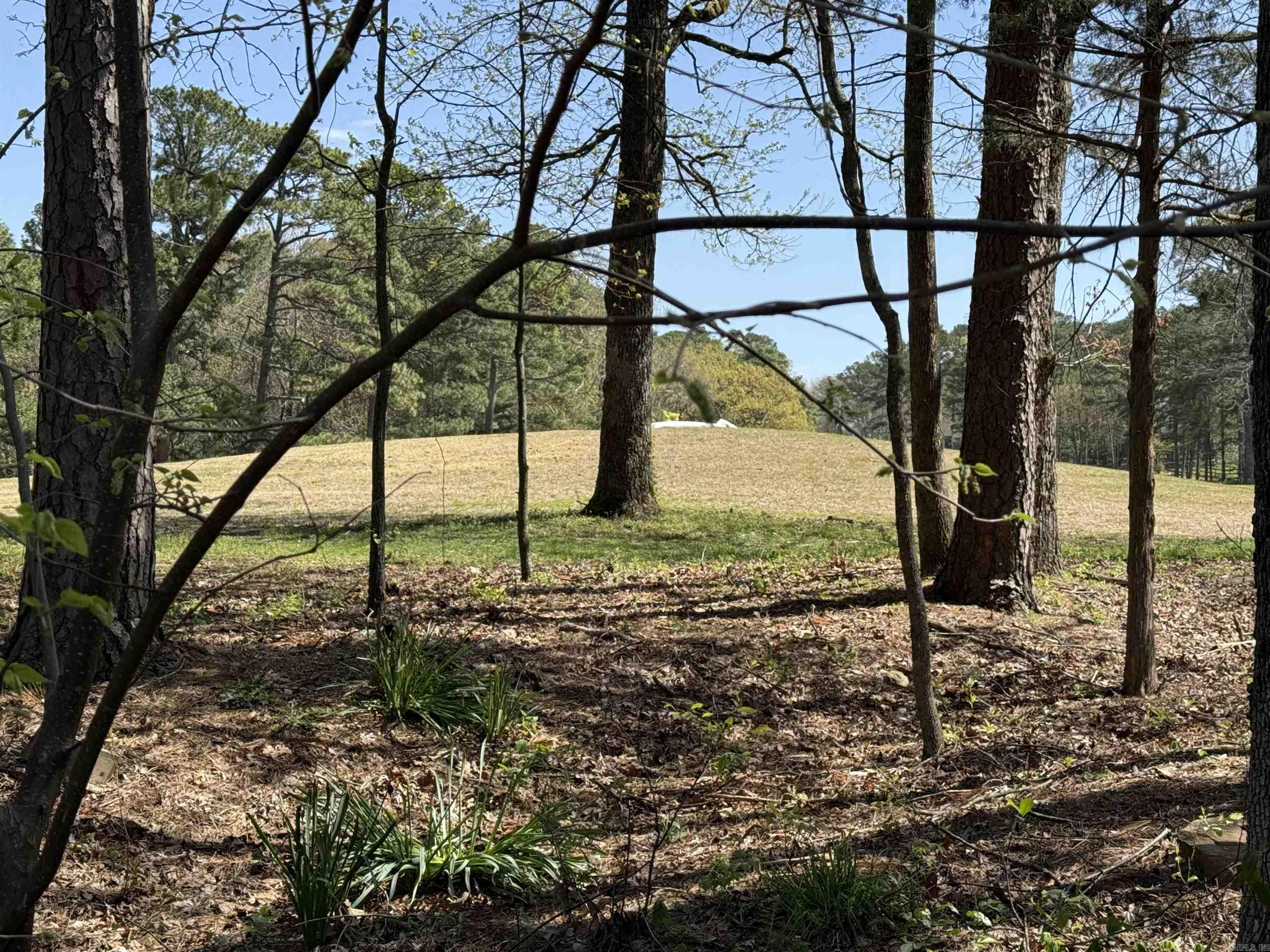 233  Rock Hill  Fairfield Bay, AR