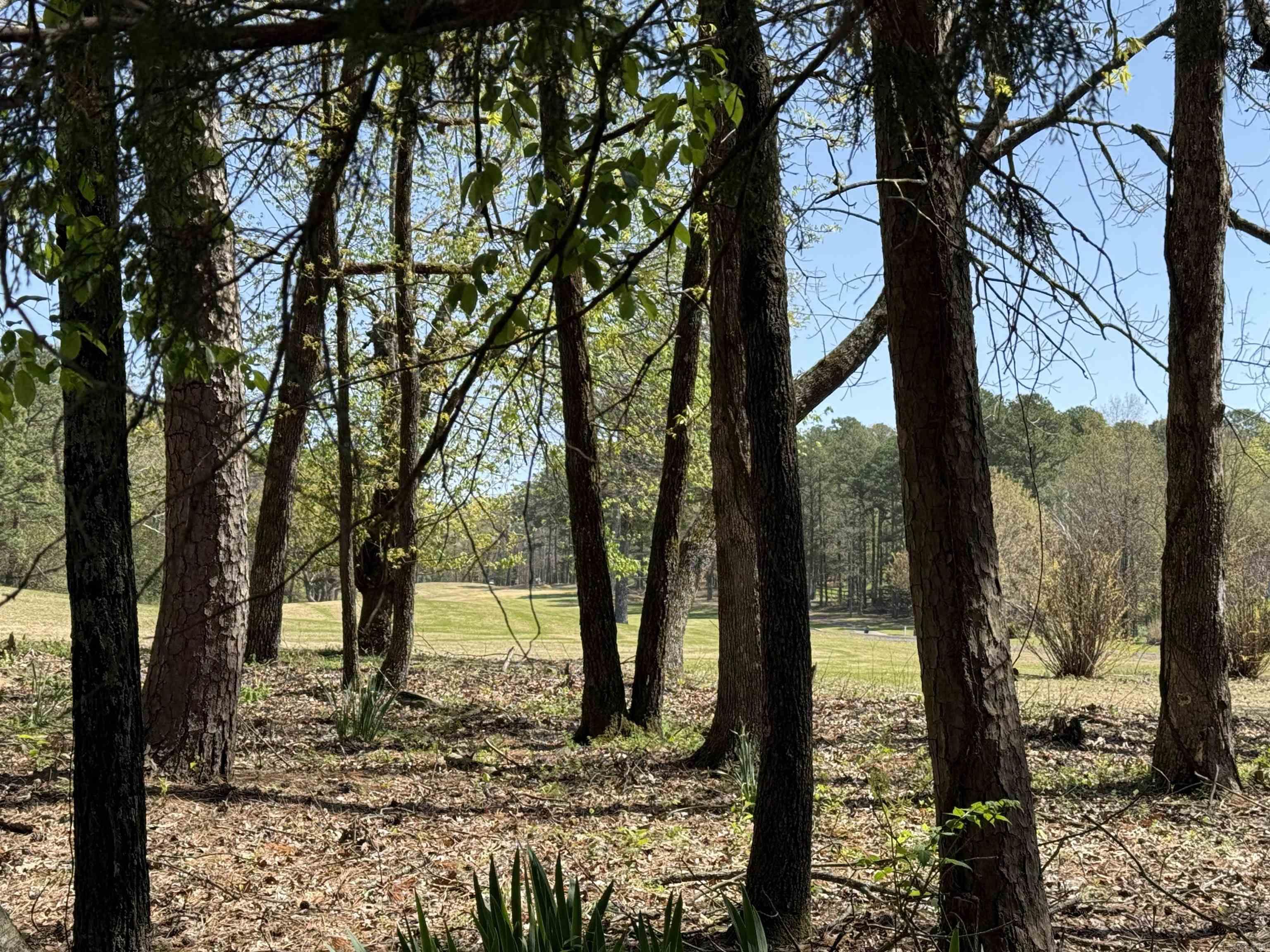233  Rock Hill  Fairfield Bay, AR