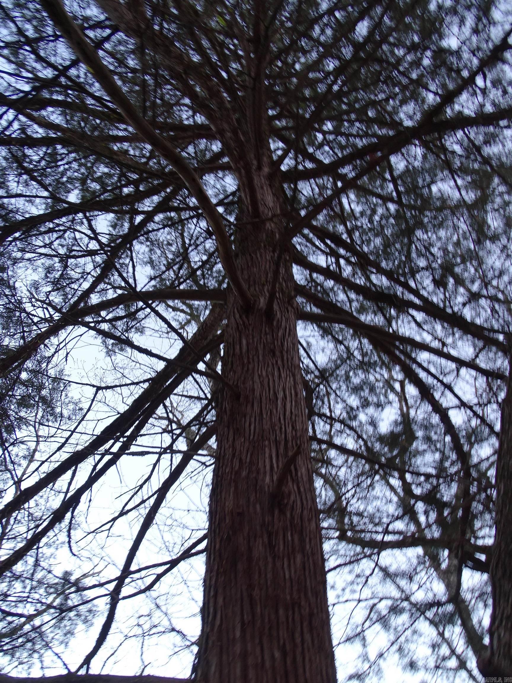 001-00379-001  MC 6064  Flippin, AR