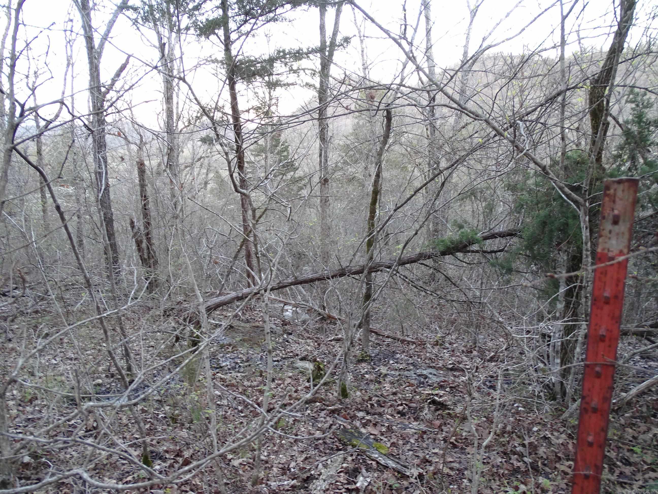 001-00379-001  MC 6064  Flippin, AR