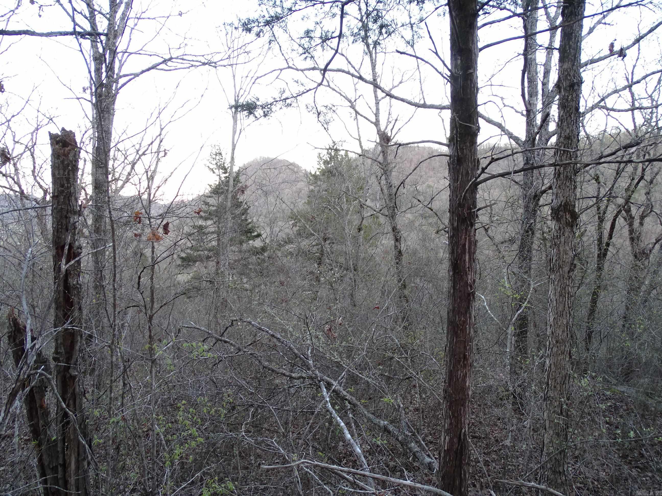 001-00379-001  MC 6064  Flippin, AR
