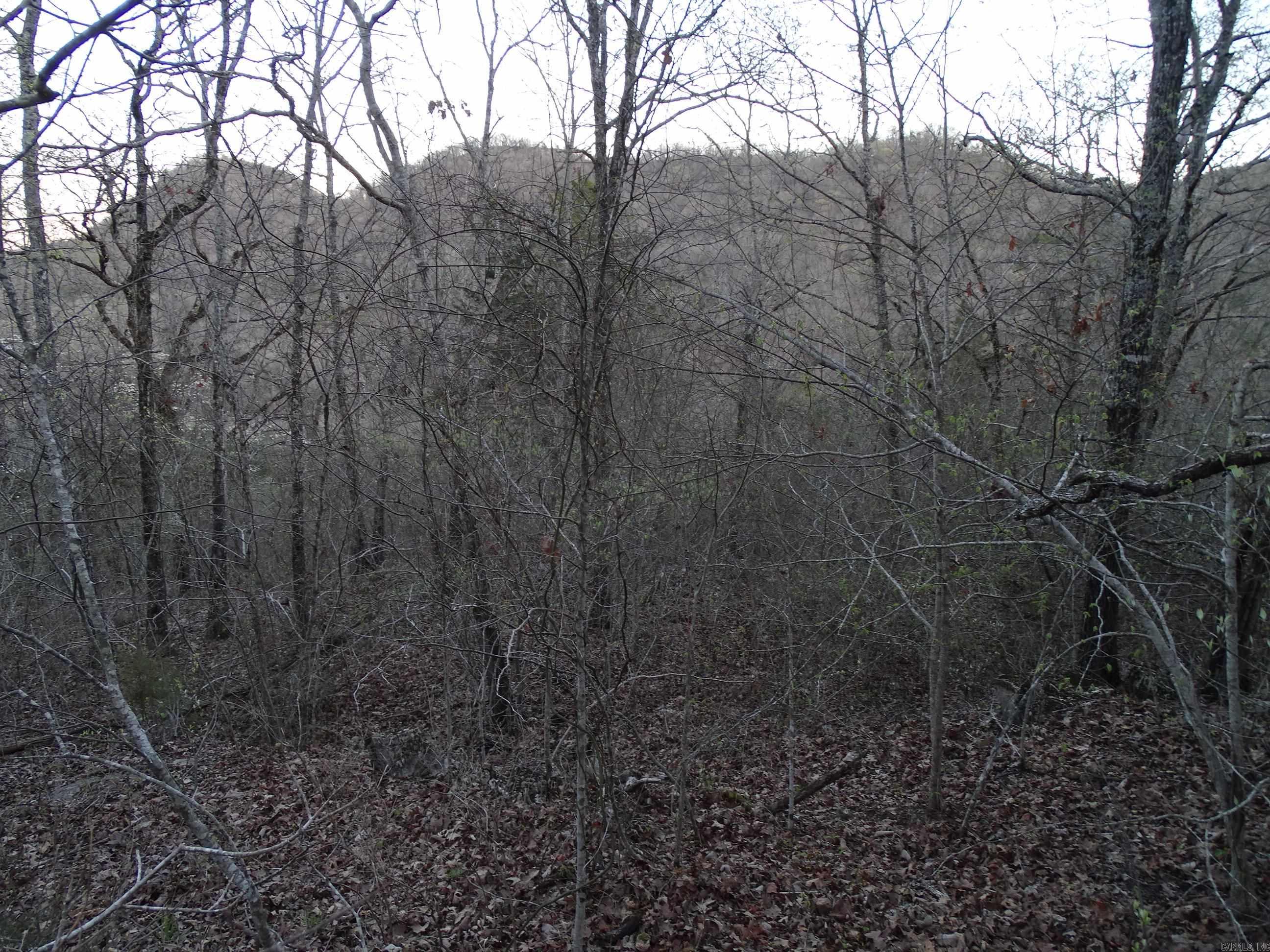 001-00379-001  MC 6064  Flippin, AR