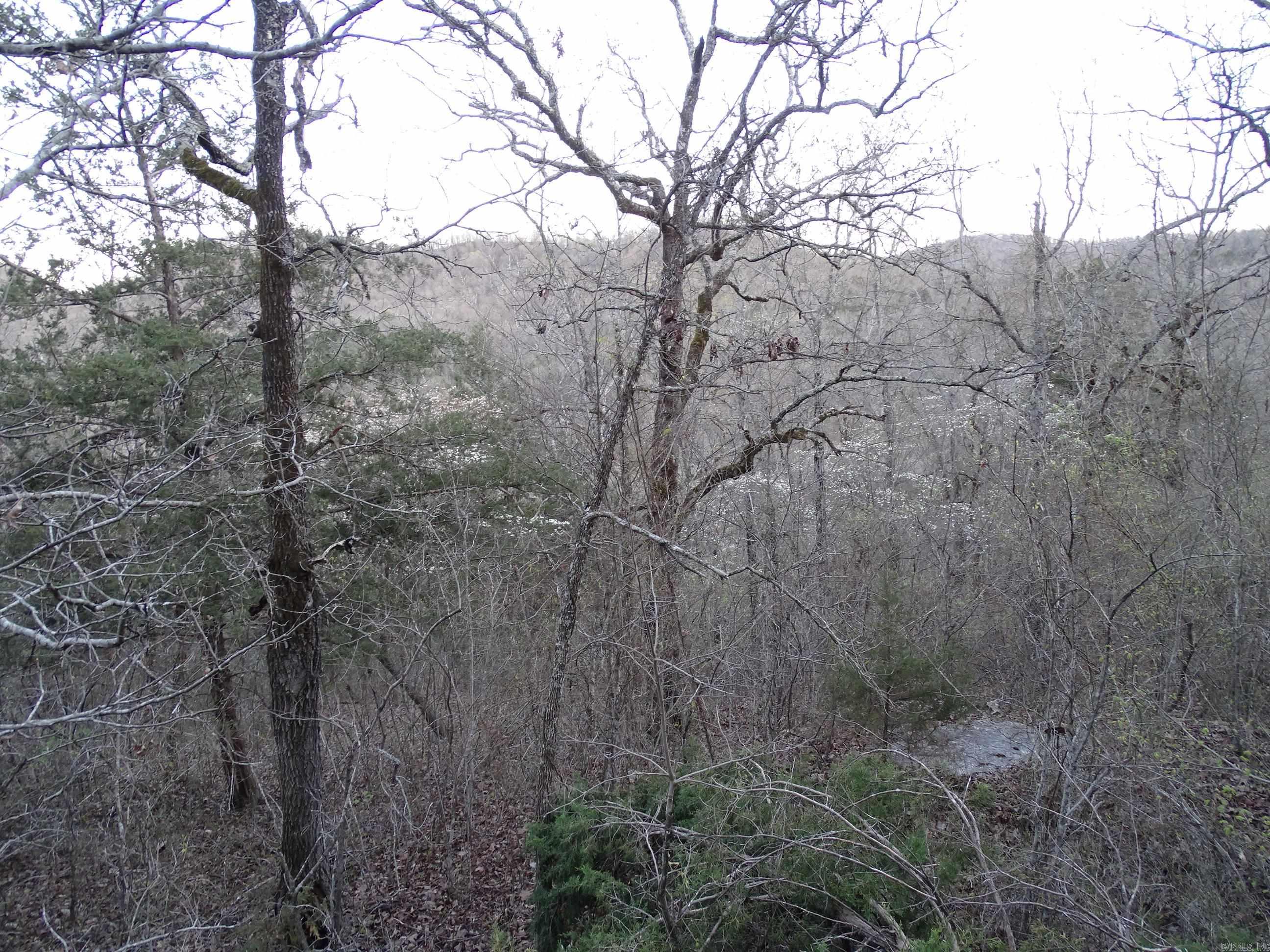 001-00379-001  MC 6064  Flippin, AR
