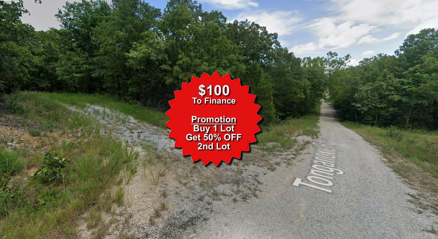 Lot 13 Coyote  Cherokee Village, AR