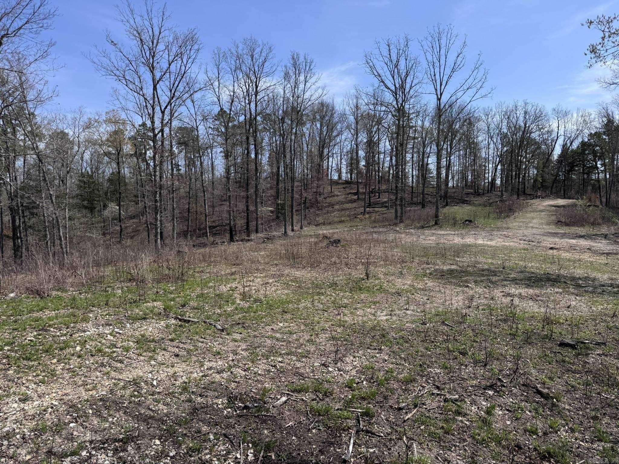 155A  Campground Road  Wideman, AR